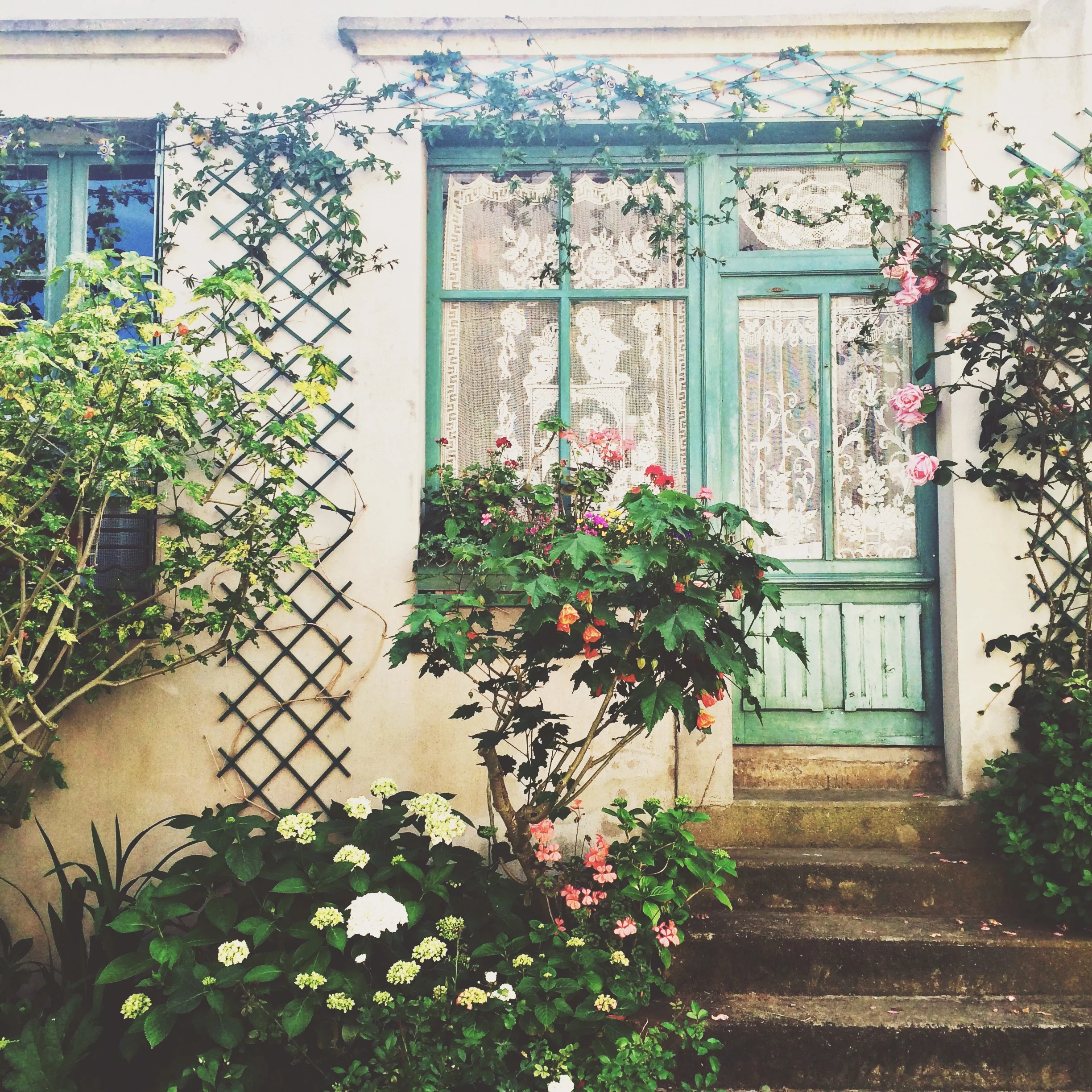 Cute house, how can I resist you?