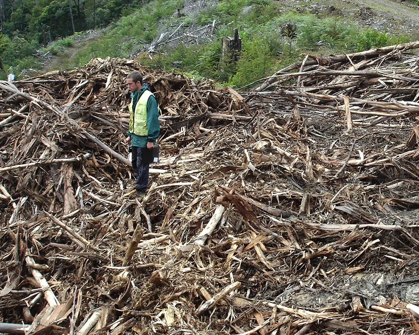 Pinetech-Pacific-log-waste.jpg