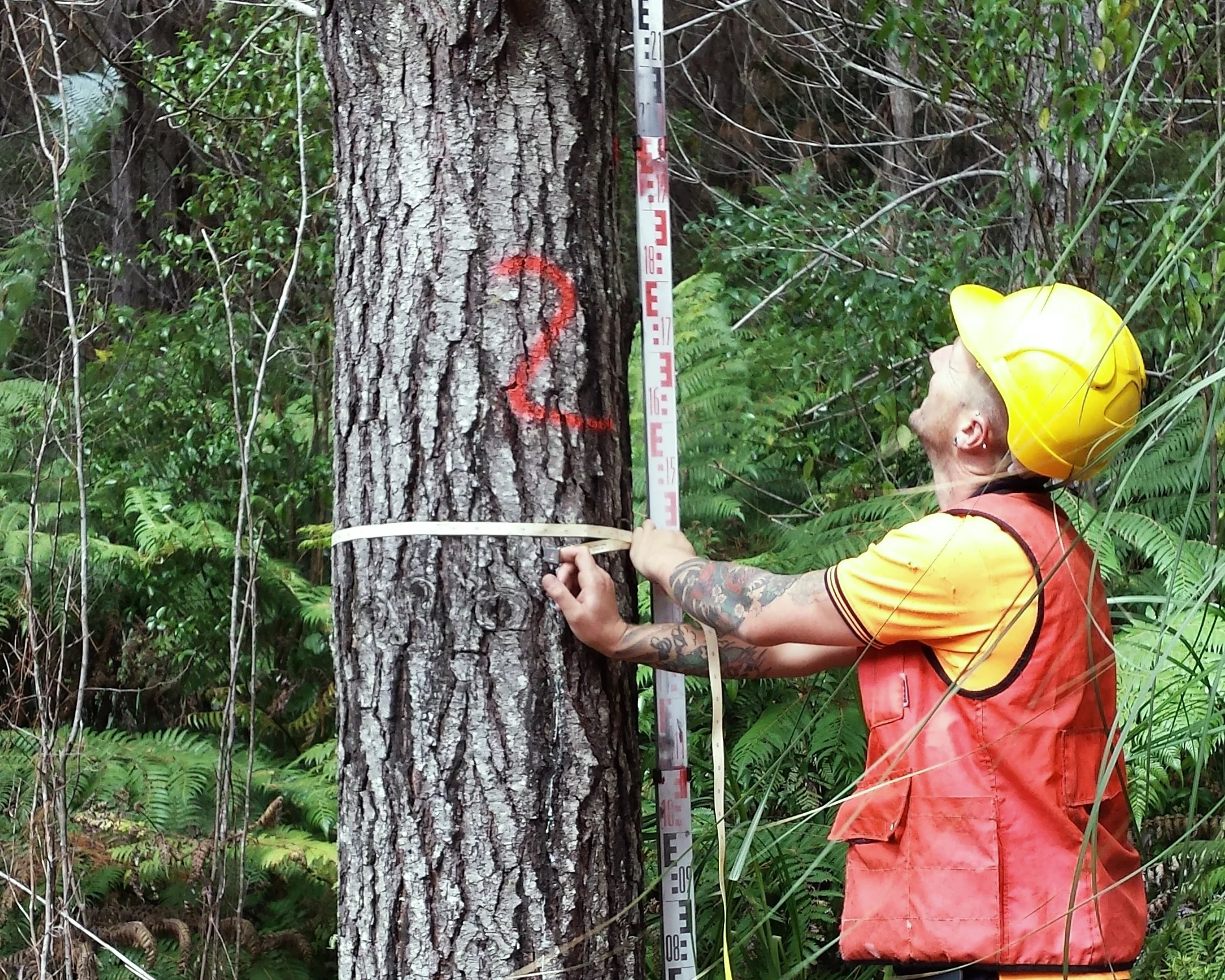 Pinetech-Pacific-Measurement-Casey.jpg