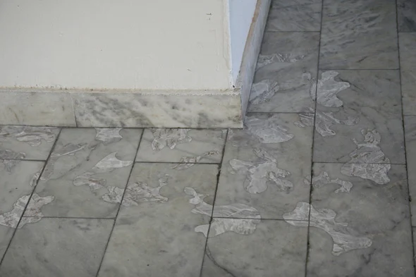 Pancevo-Camo02.jpg