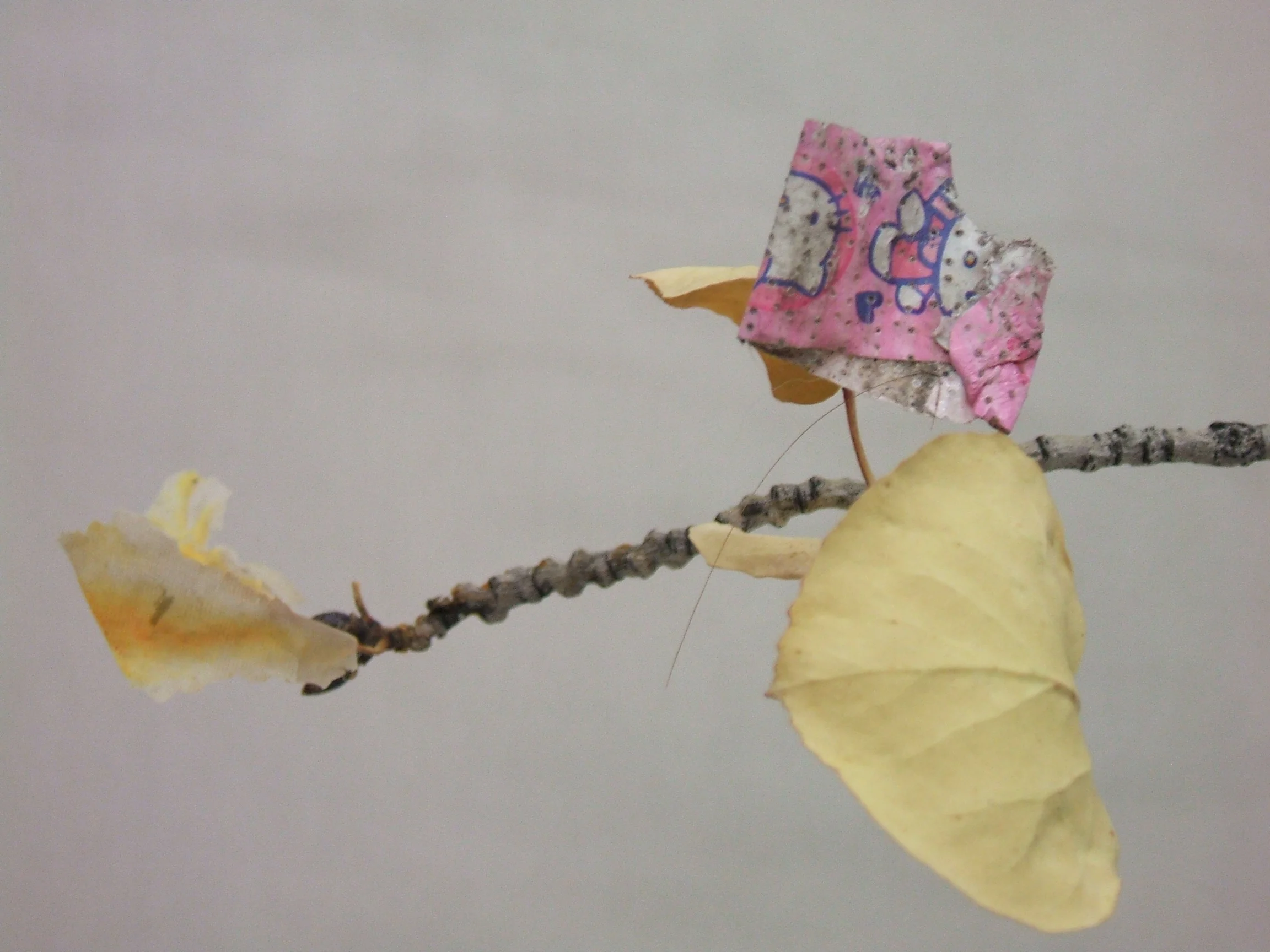 05trashtree.jpg