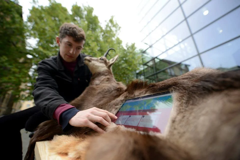 Hidde+Goat_©Volker Hartmann-Urbane Künste Ruhr.jpg
