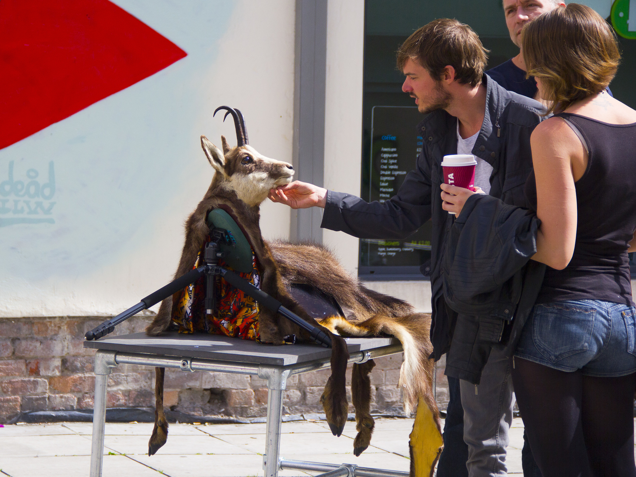 FACTGoat_6_©ChristopherRobbins.jpg