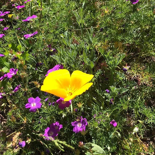 There are moments when we know how to be ourselves even though everyone around us is doing something different. Those moments are golden.