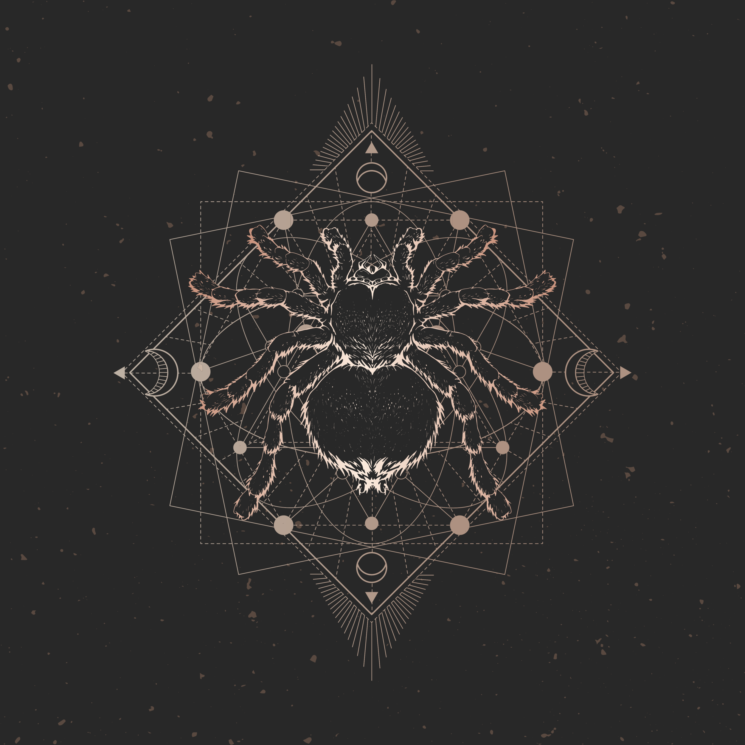 sisters of intention