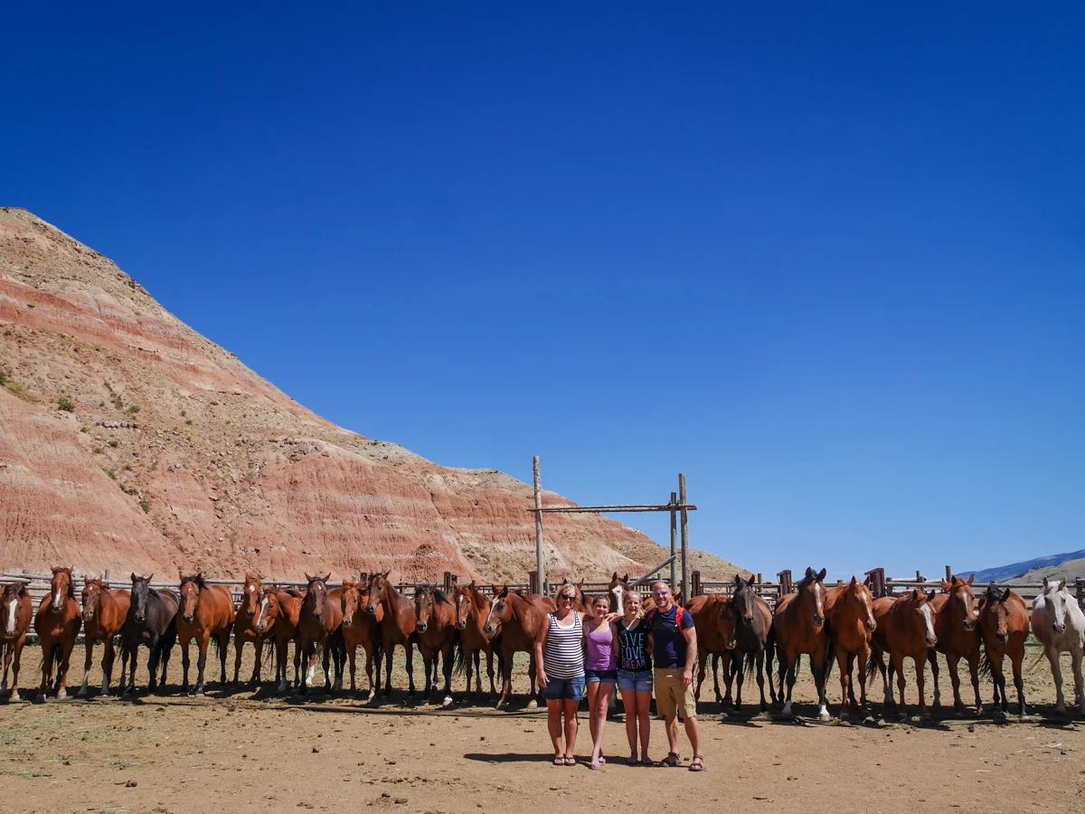 Robin gave us a really special treat, getting 25 horses to line up and stay at attention until released with a whistle.