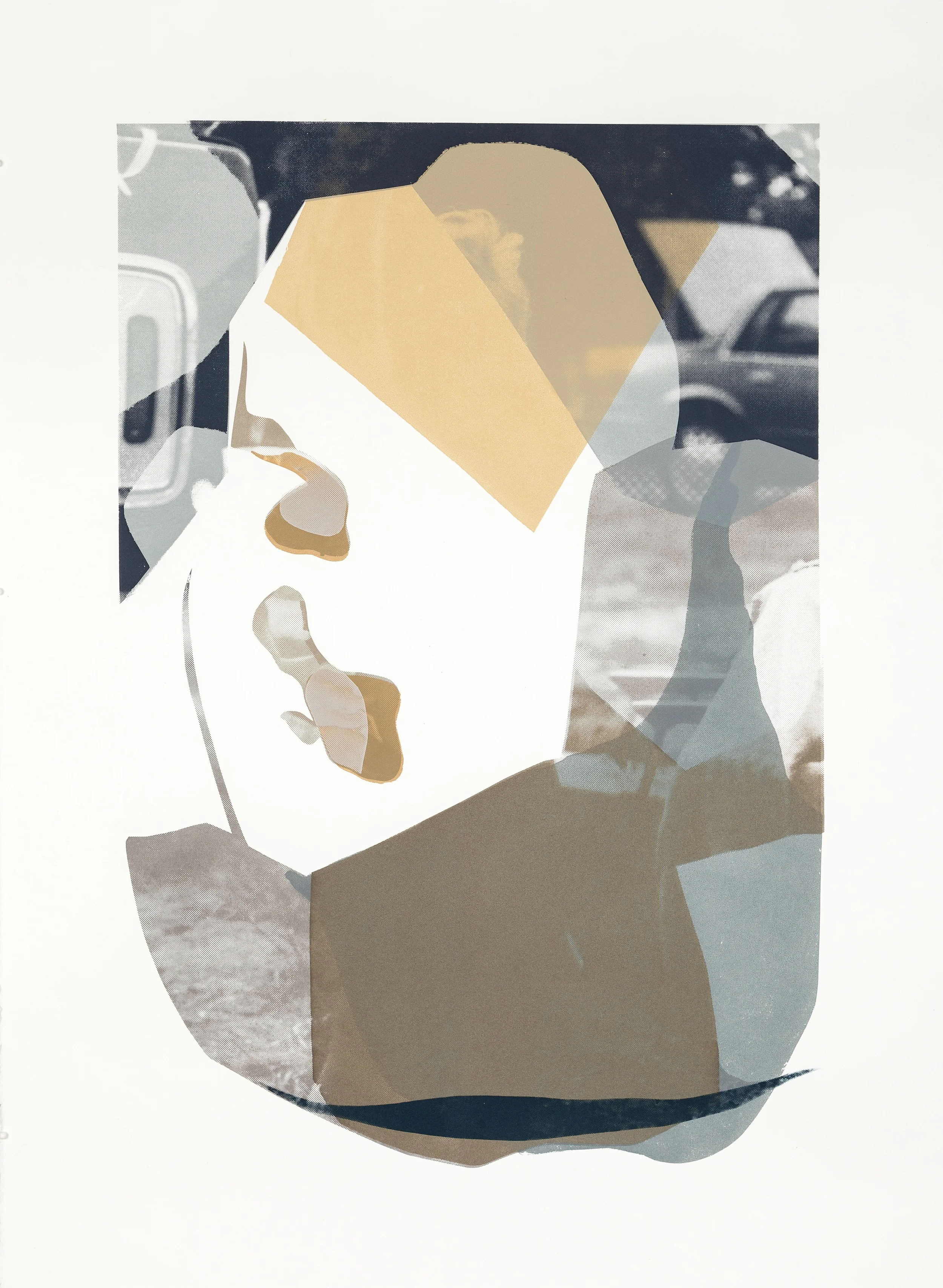 Untitled , 2014. Screen print, unique. 30 x 22 in. 
