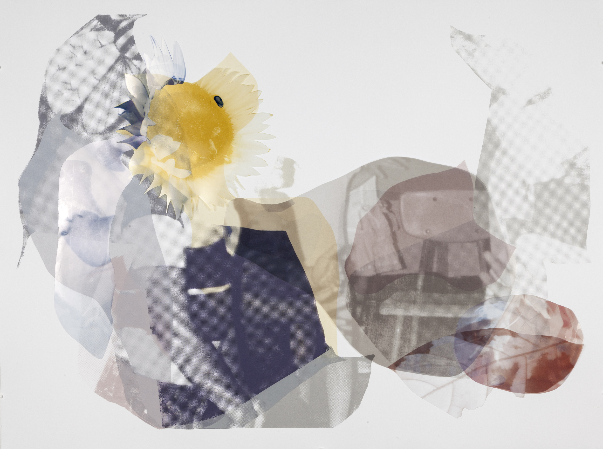 Bee Pile #3 , 2015. Screen print with collage, unique. 22 x 30 in.