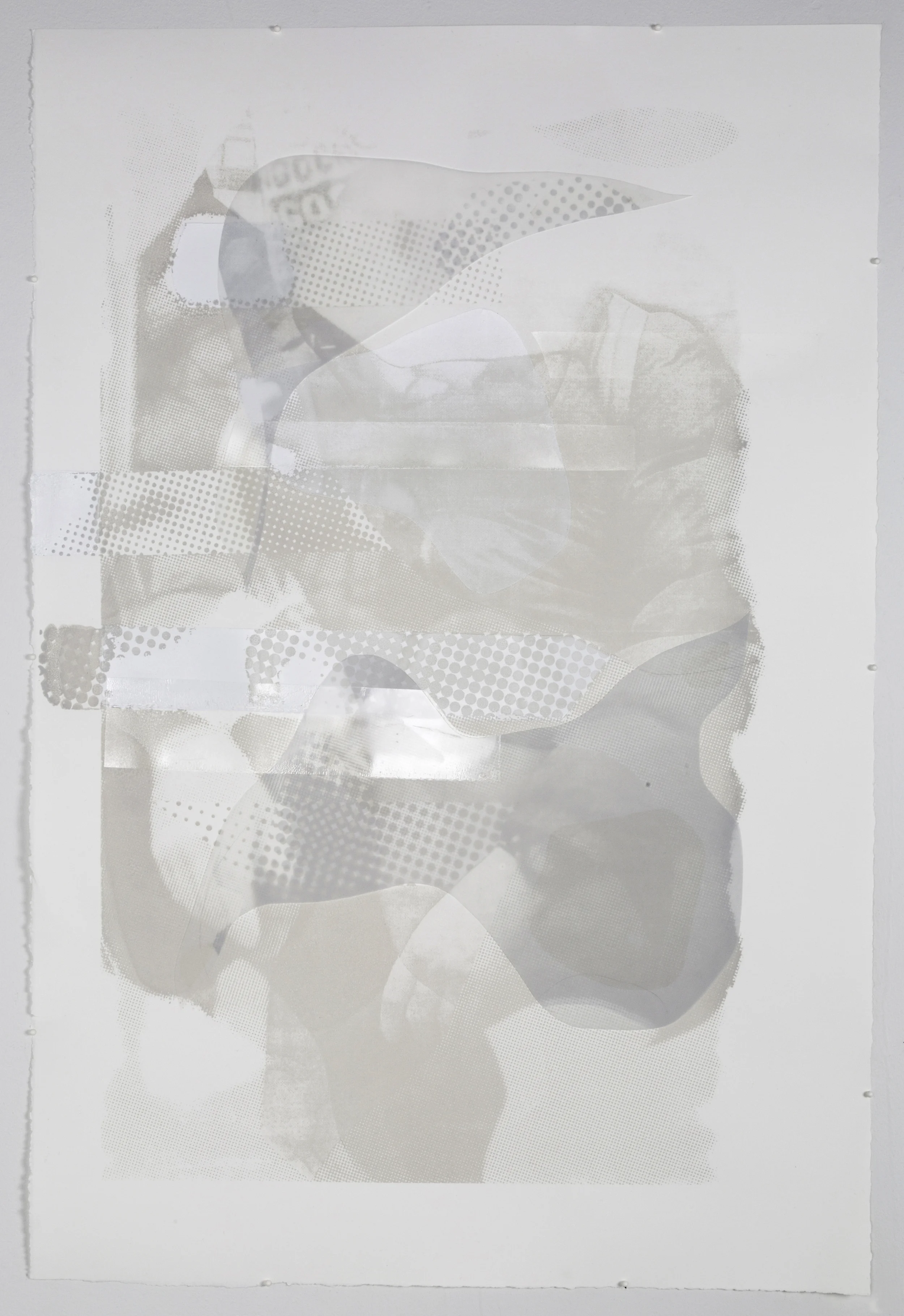 Go back. Go back. #1 , 2015, Screen print, overprint varnish & screen print on mylar, collaged, unique. 36 x 24 in.