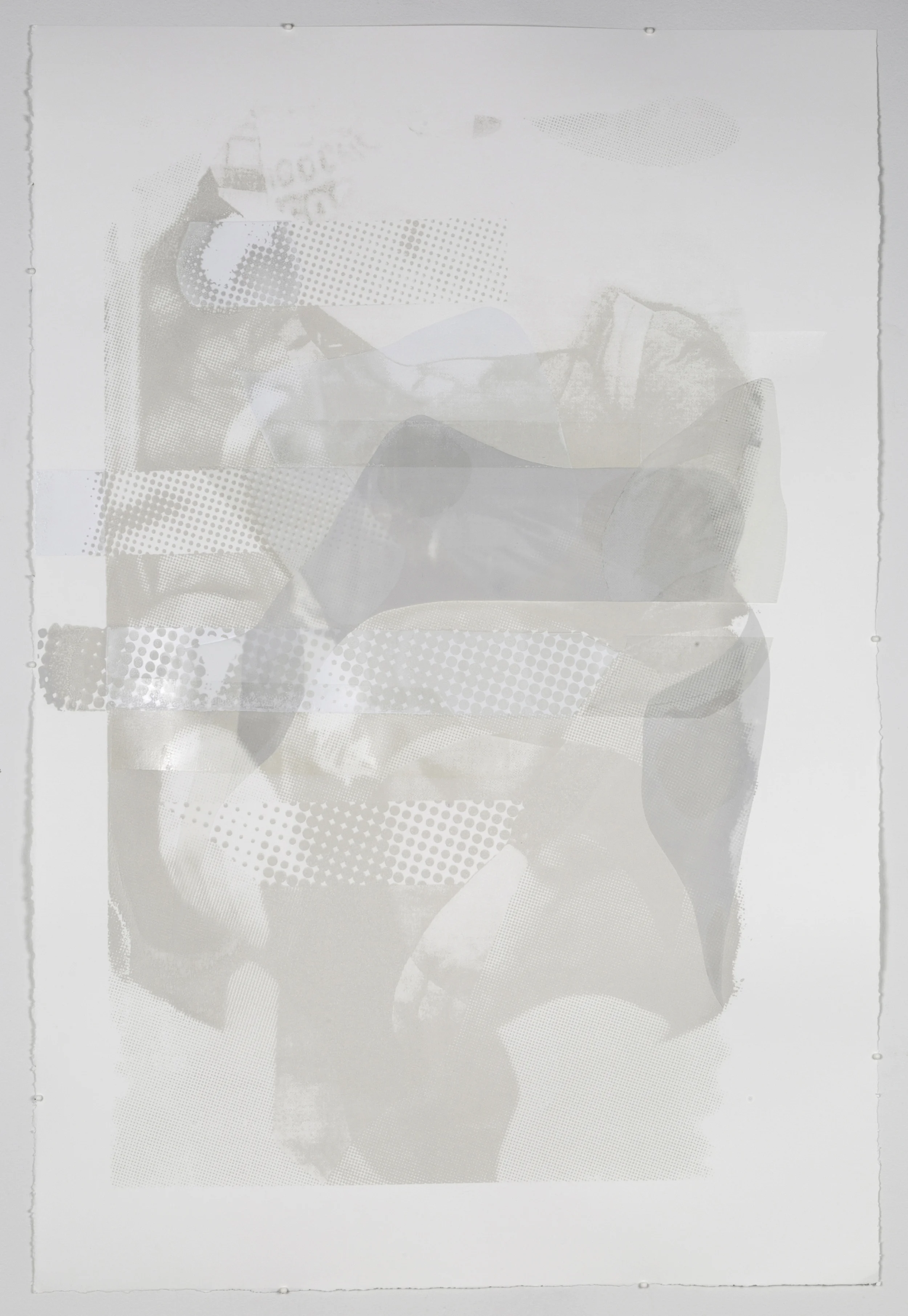 Go back. Go back. #2 , 2015, Screen print, overprint varnish & screen print on mylar, collaged, unique. 36 x 24 in.