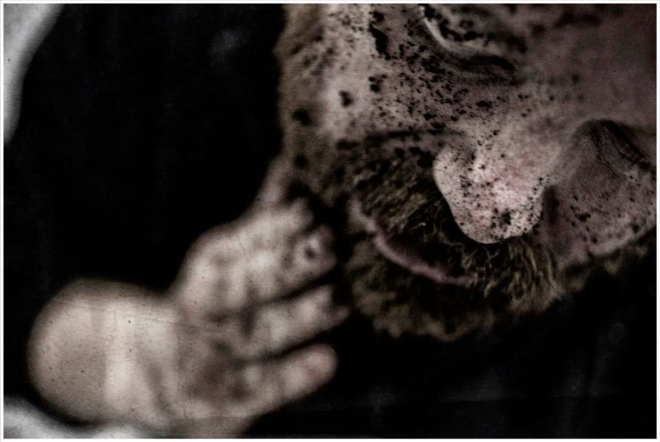 "a place where one can destroy oneself, go mad or commit a crime." -Van Gogh