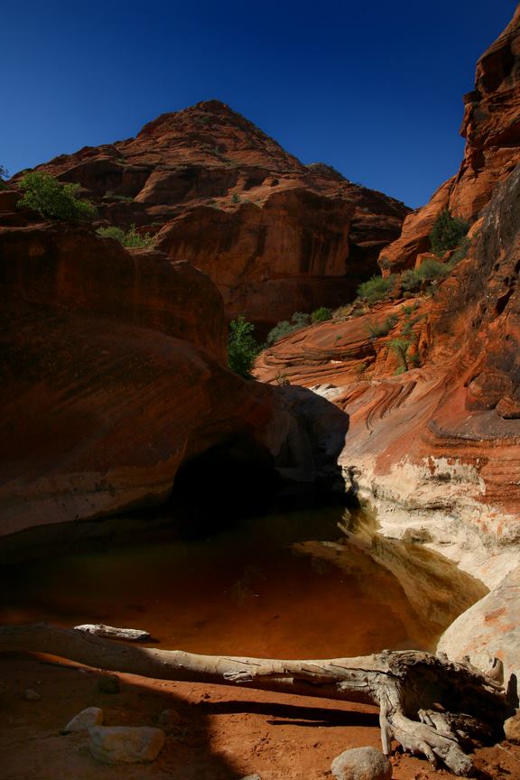 Red Cliffs, St. George, UT