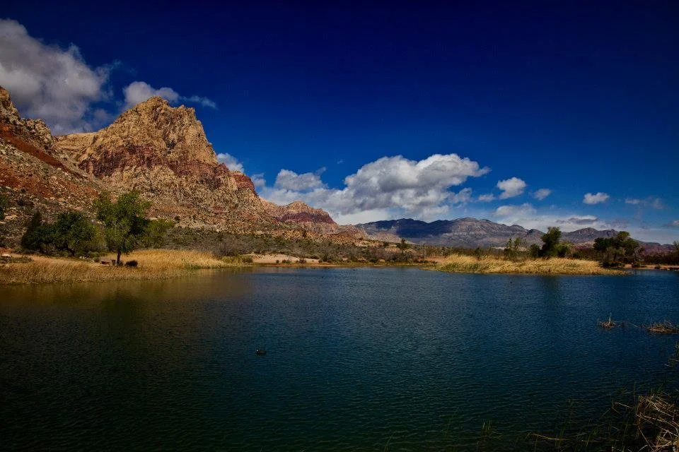 Spring Mountain Ranch, NV