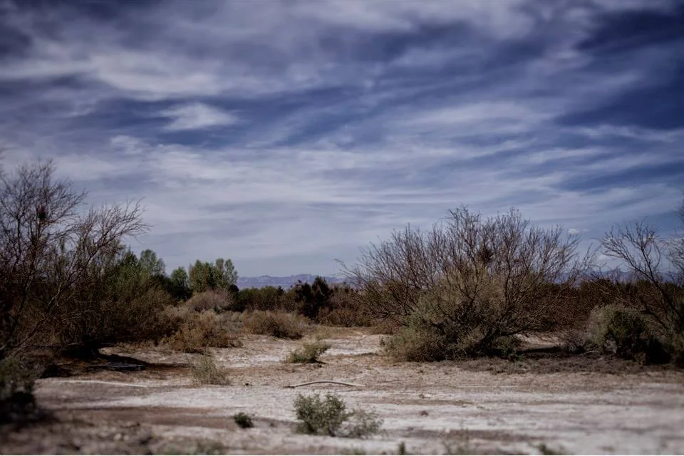 Wetlands, Las Vegas, NV