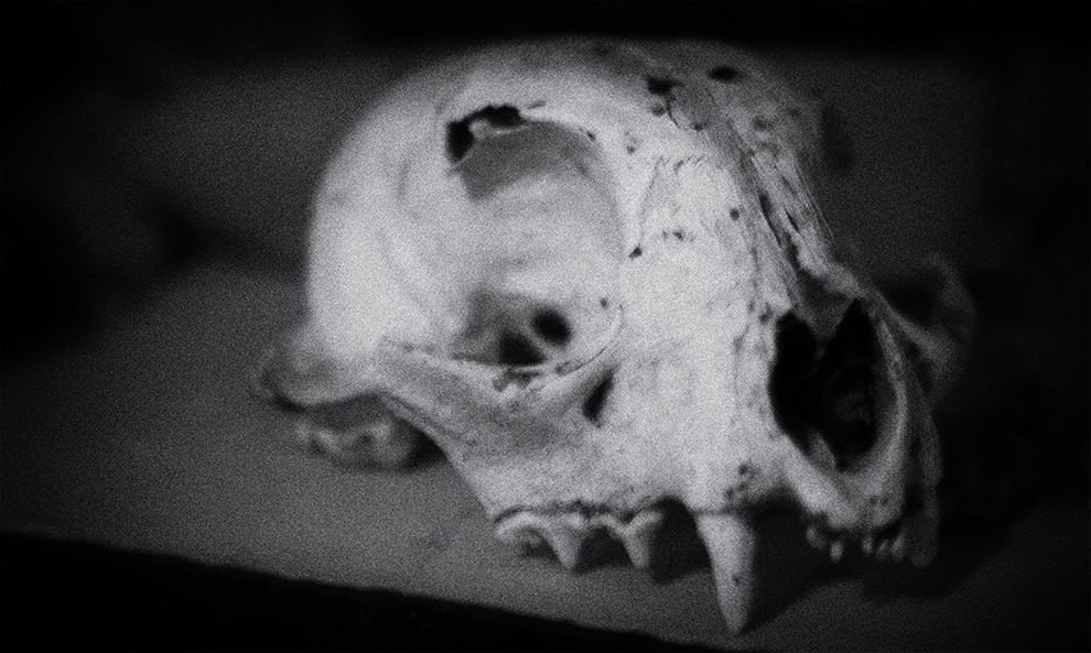 006.jpg