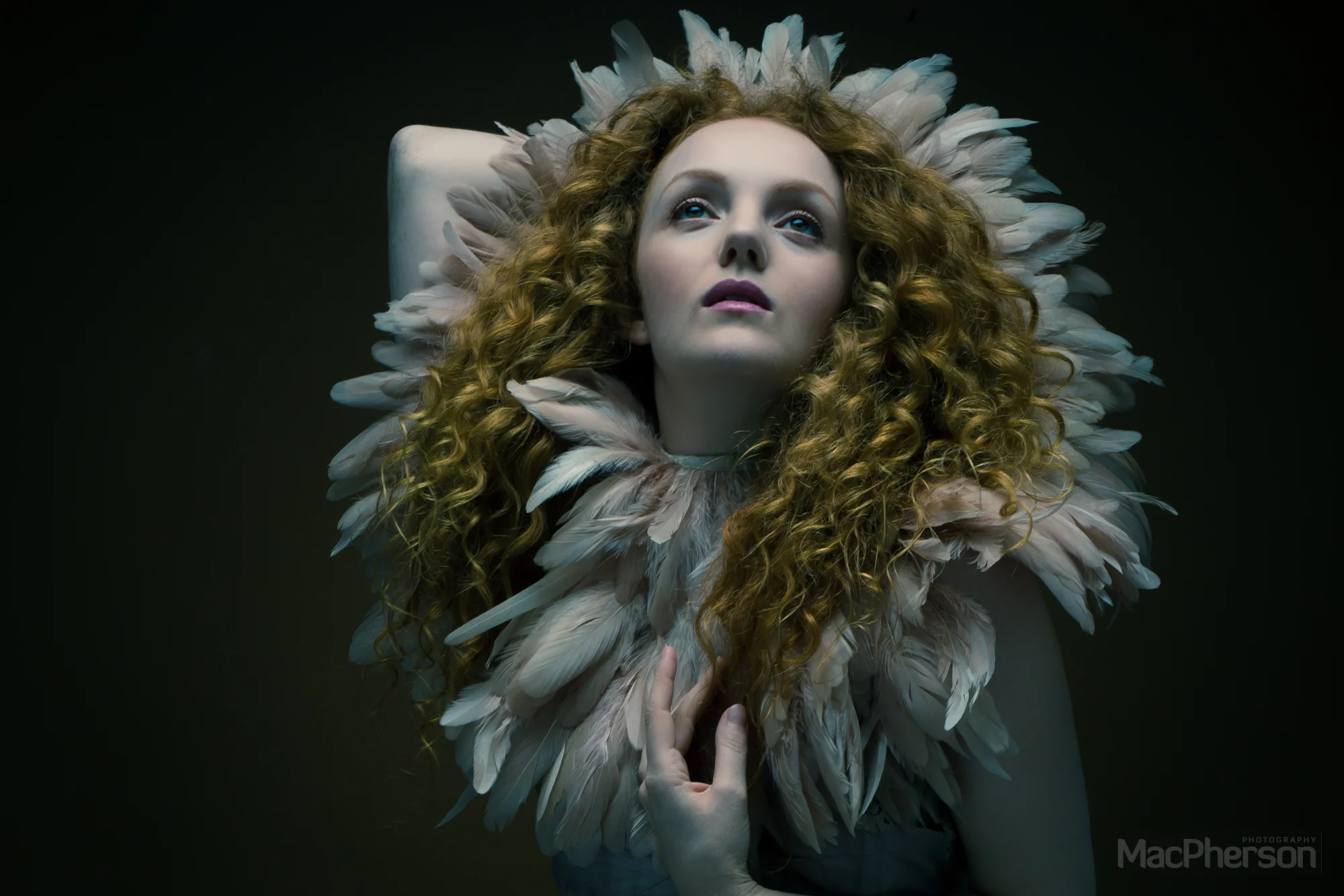Ivoryflame-1.jpg