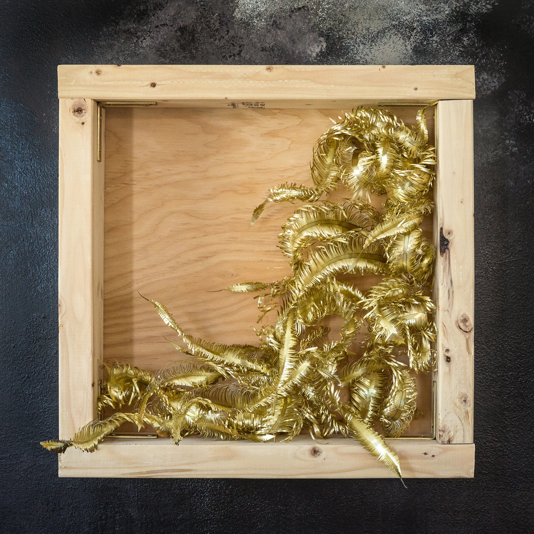  The Winged Genie, 2015.     