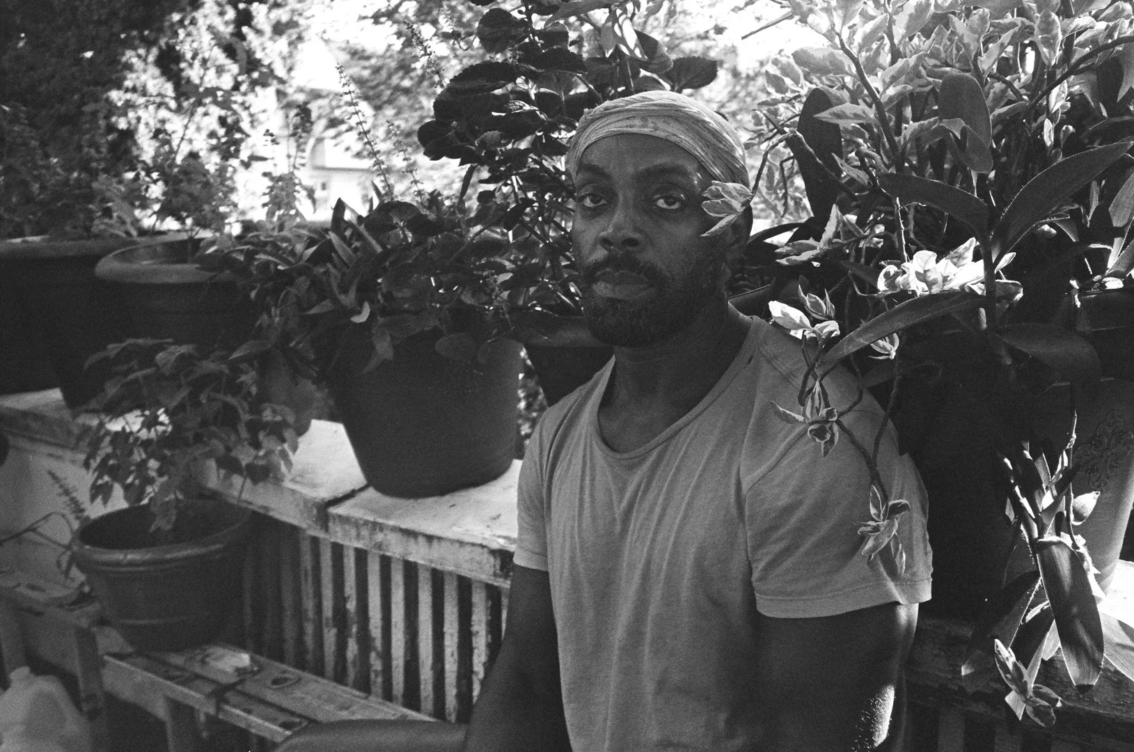  Andre Walker - Victorian Flatbush, Brooklyn. 