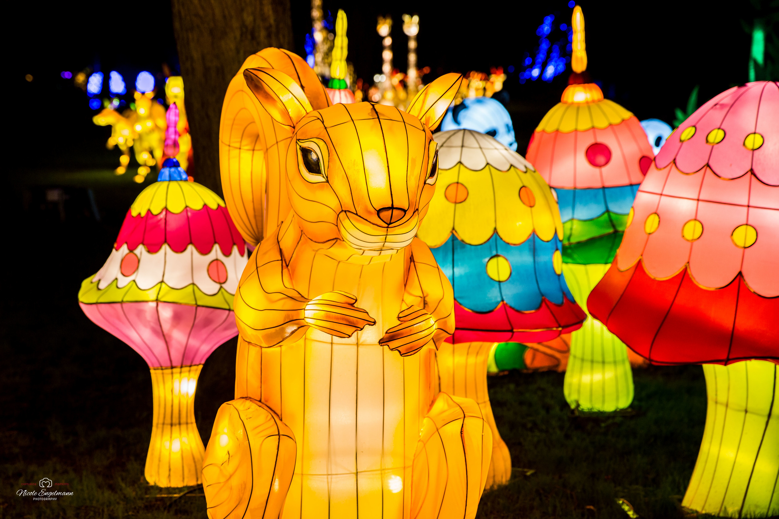 lantern-festival-11.jpg