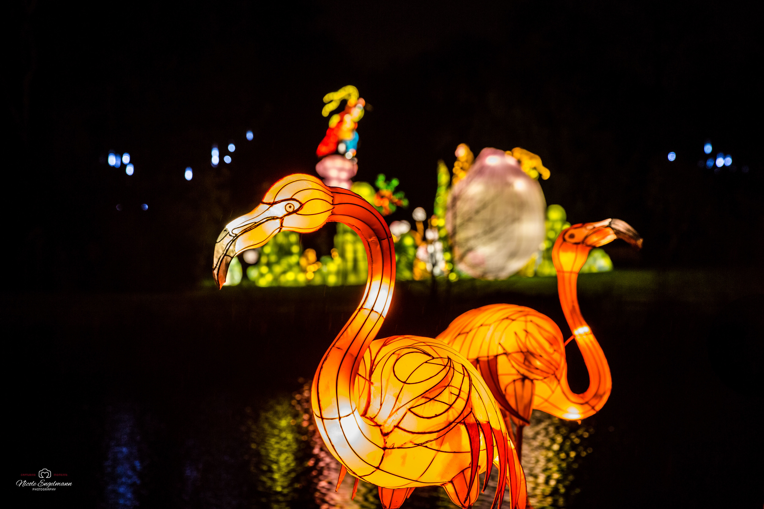 lantern-festival-23.jpg