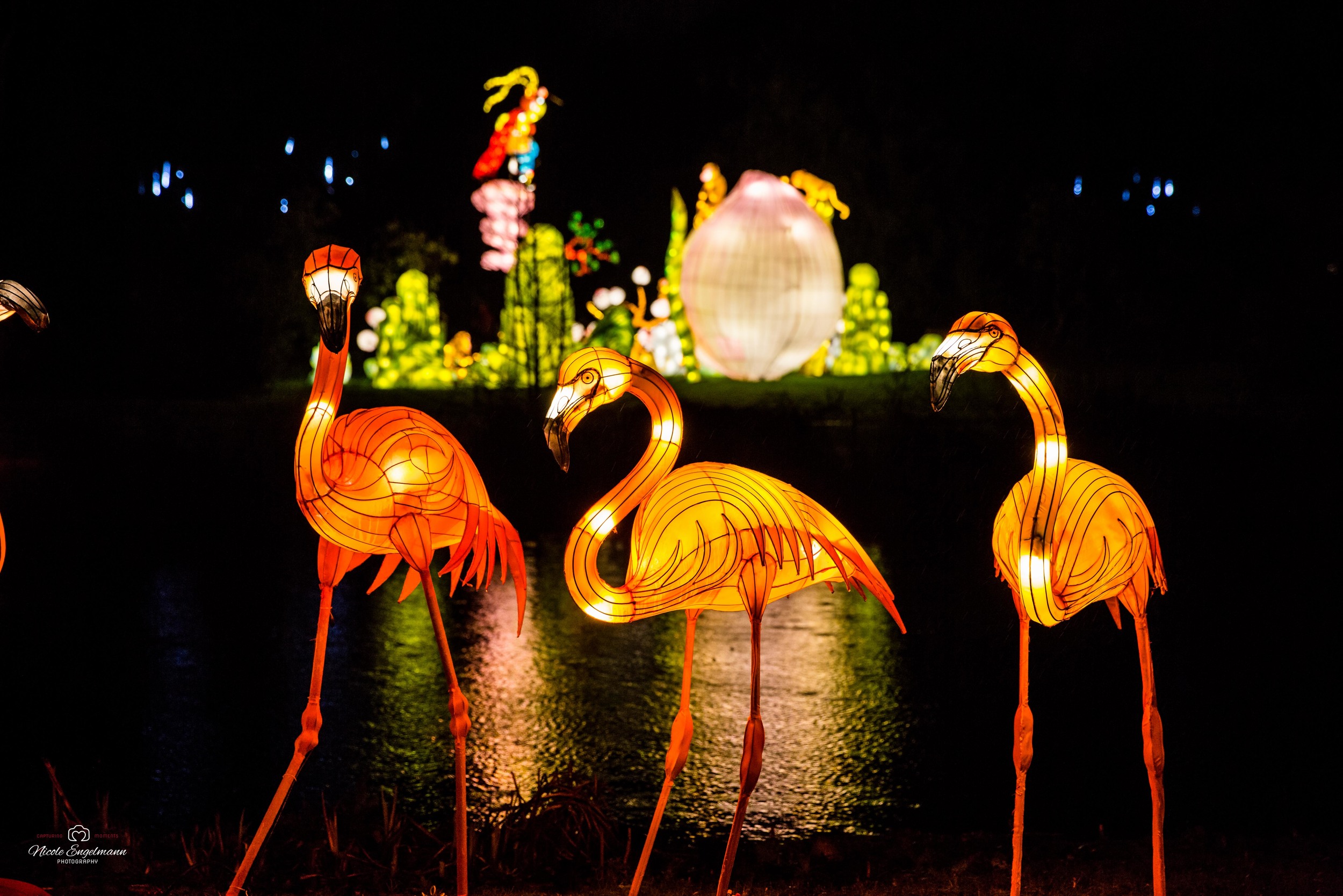 lantern-festival-24.jpg