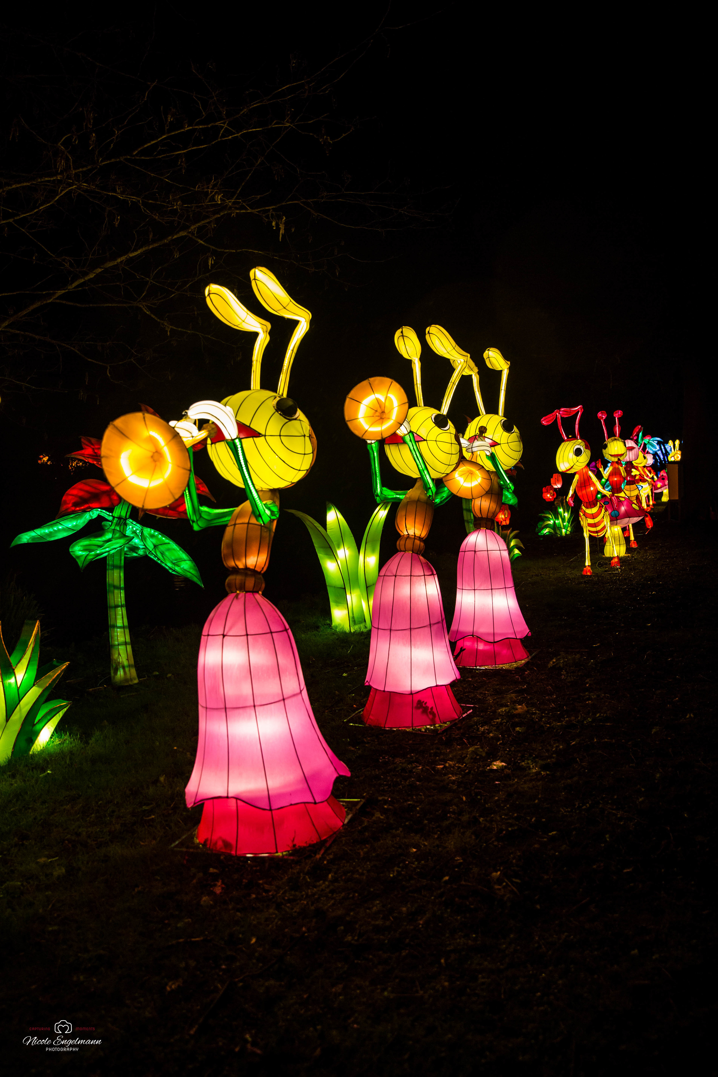 lantern-festival-29.jpg
