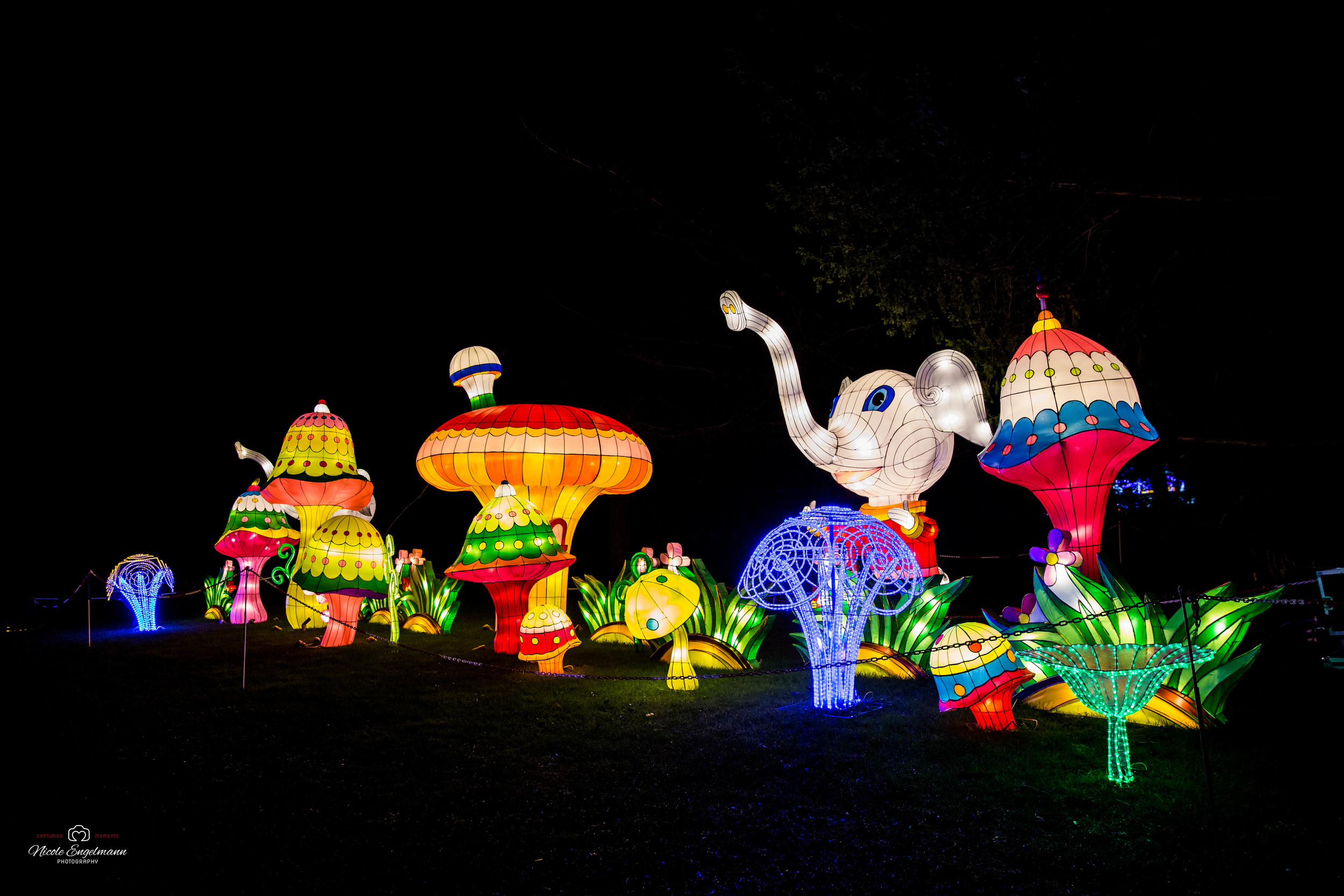 lantern-festival-50.jpg