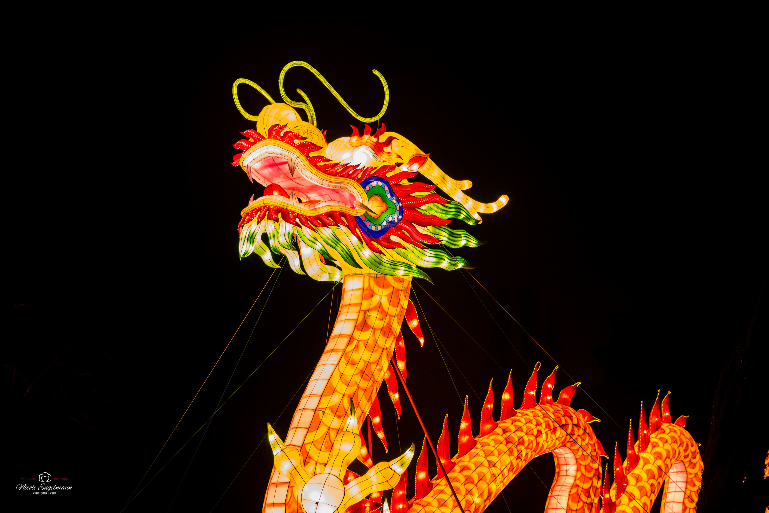 lantern-festival-57.jpg