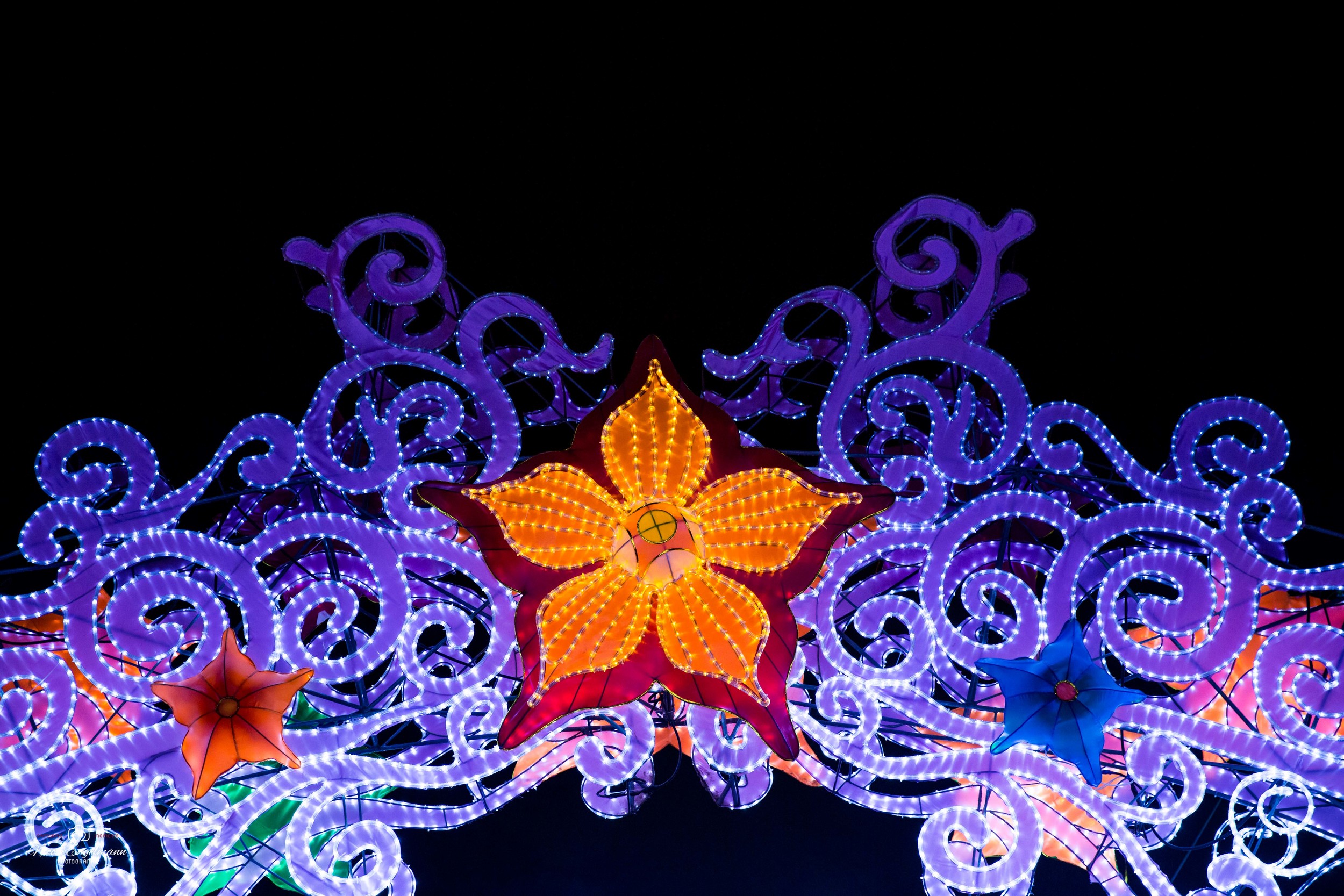 lantern-festival-62.jpg