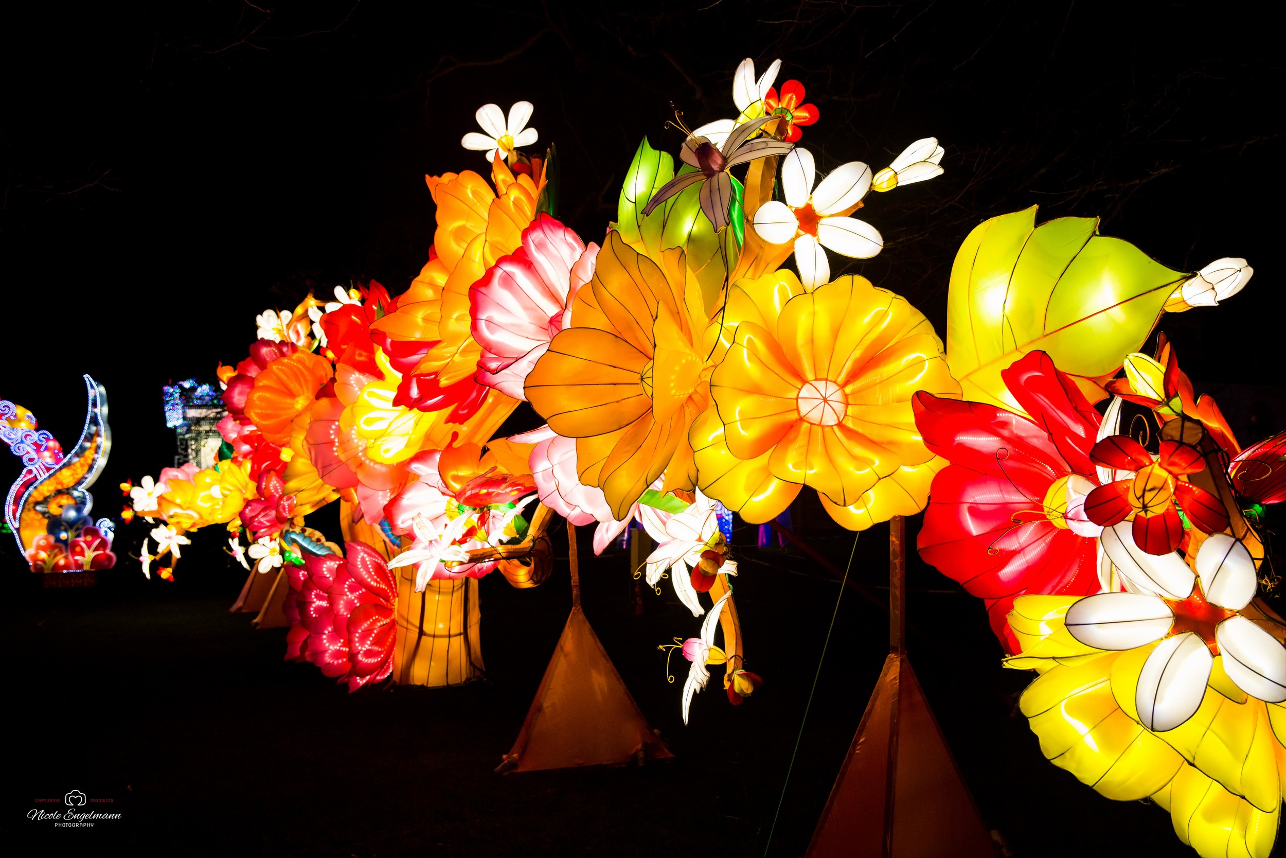 lantern-festival-80.jpg