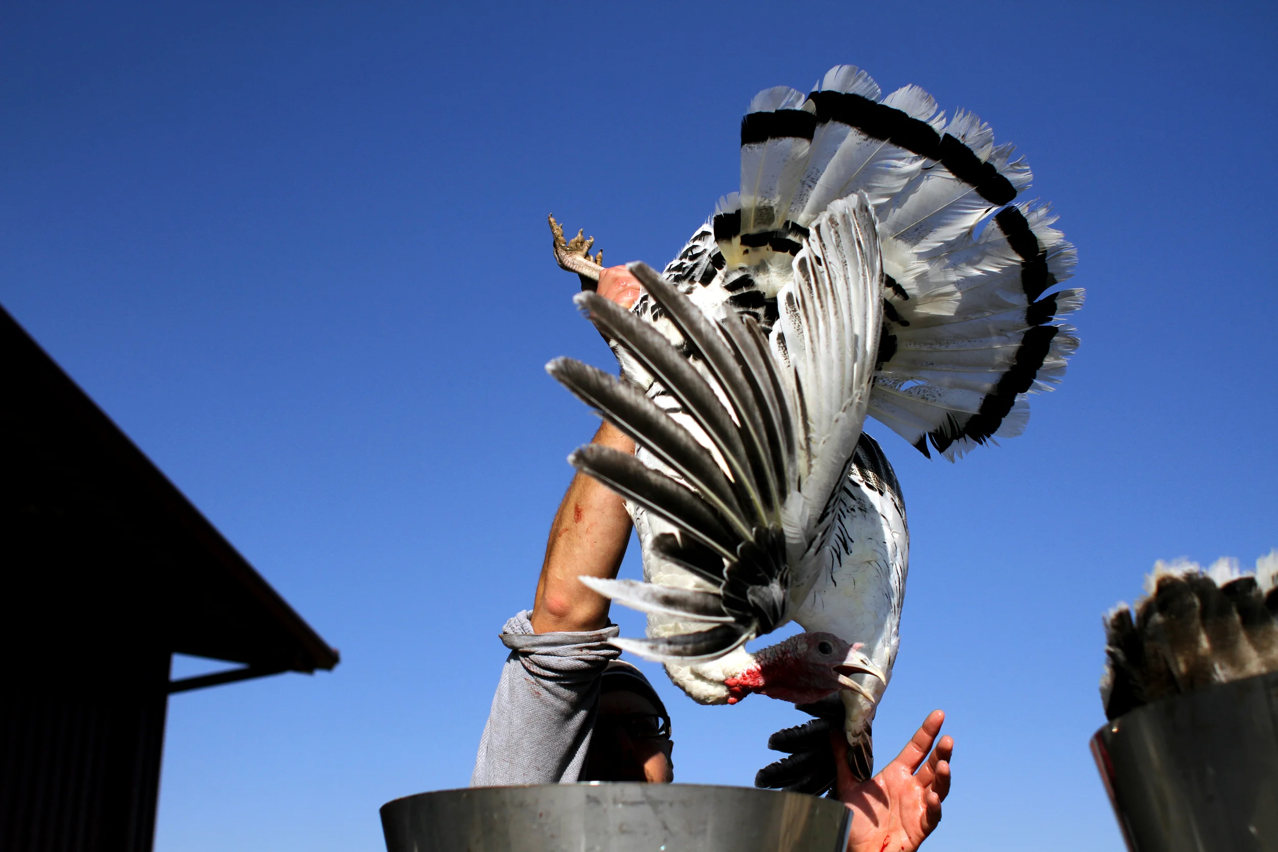 Houser_Turkey_air.jpg