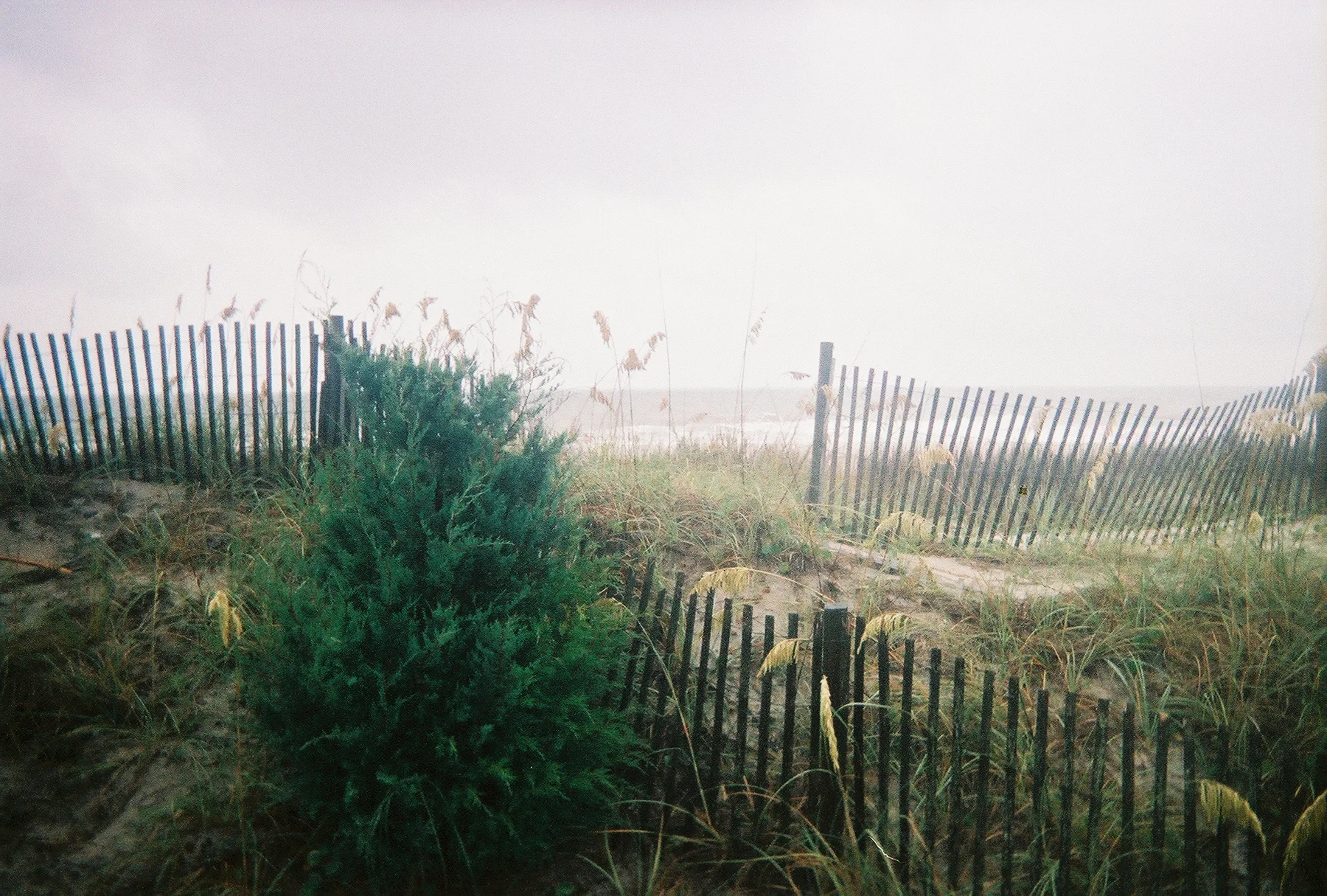 FH000019.jpg