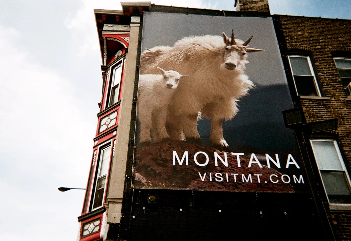 4montana.jpg