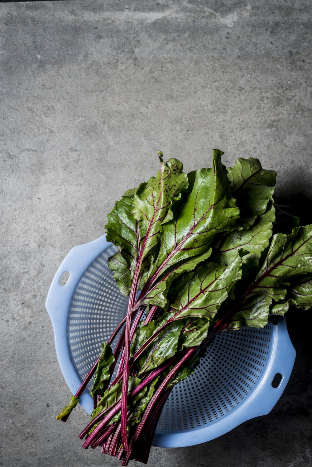 Sam Pizone - Phoebe Powell- Small for Web_1.JPG