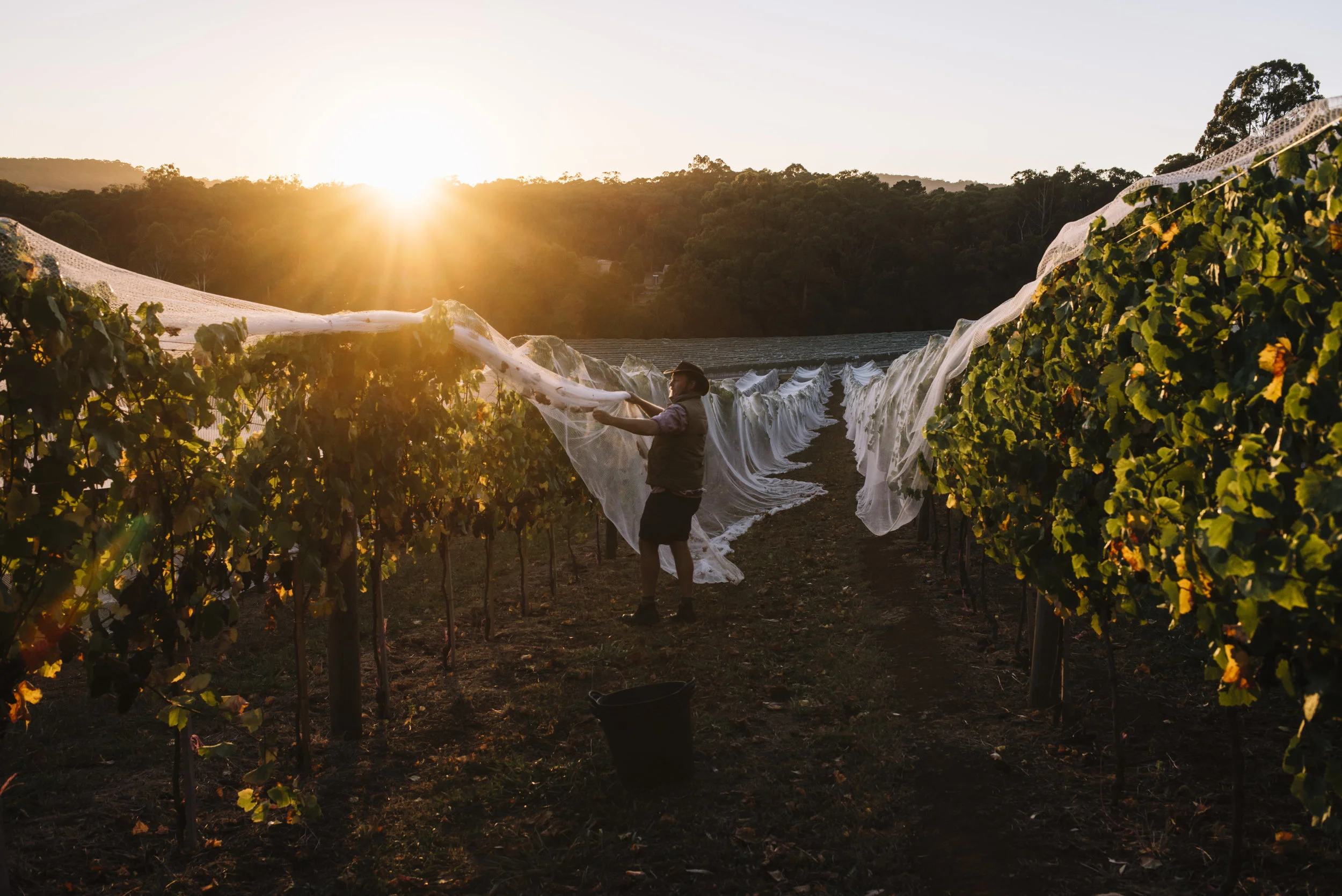 Gembrook - March _1.JPG