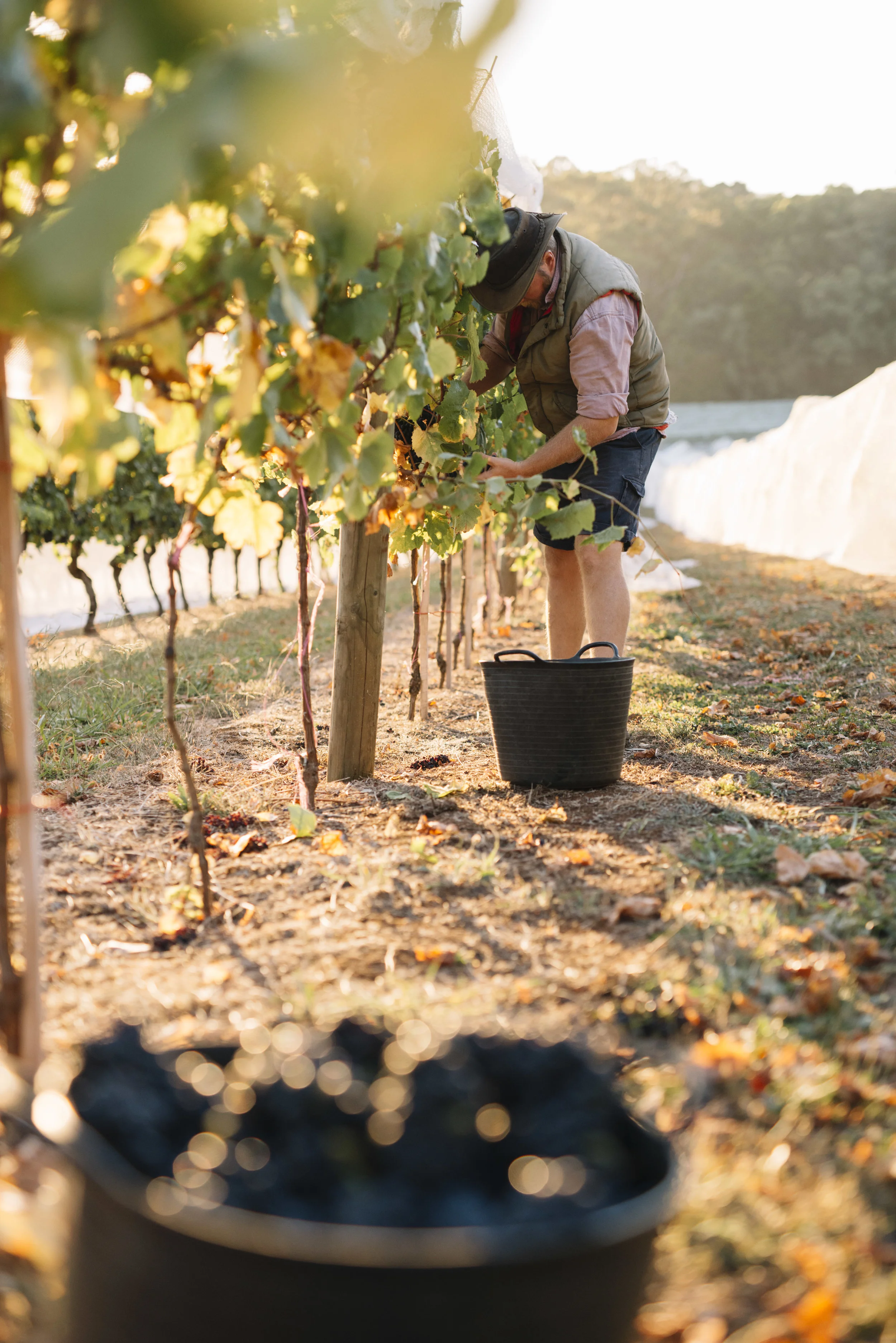 Gembrook - March _26.JPG