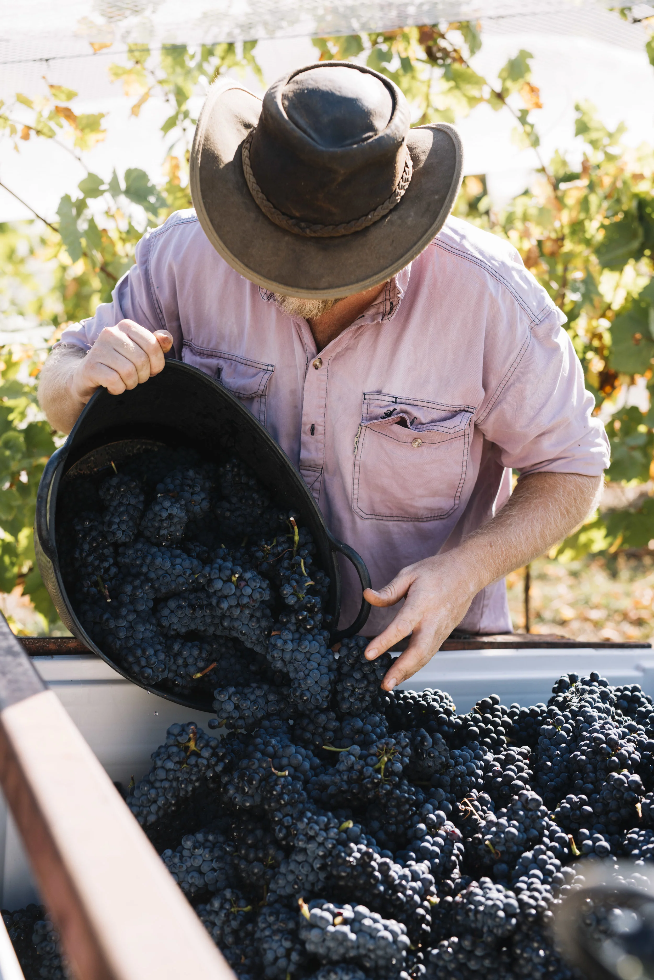 Gembrook - March _74.JPG