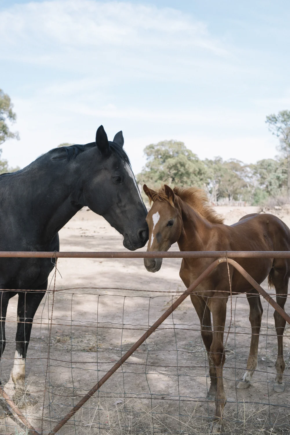 WR Lake Moodemere - Phoebe Powell WEB_10.JPG