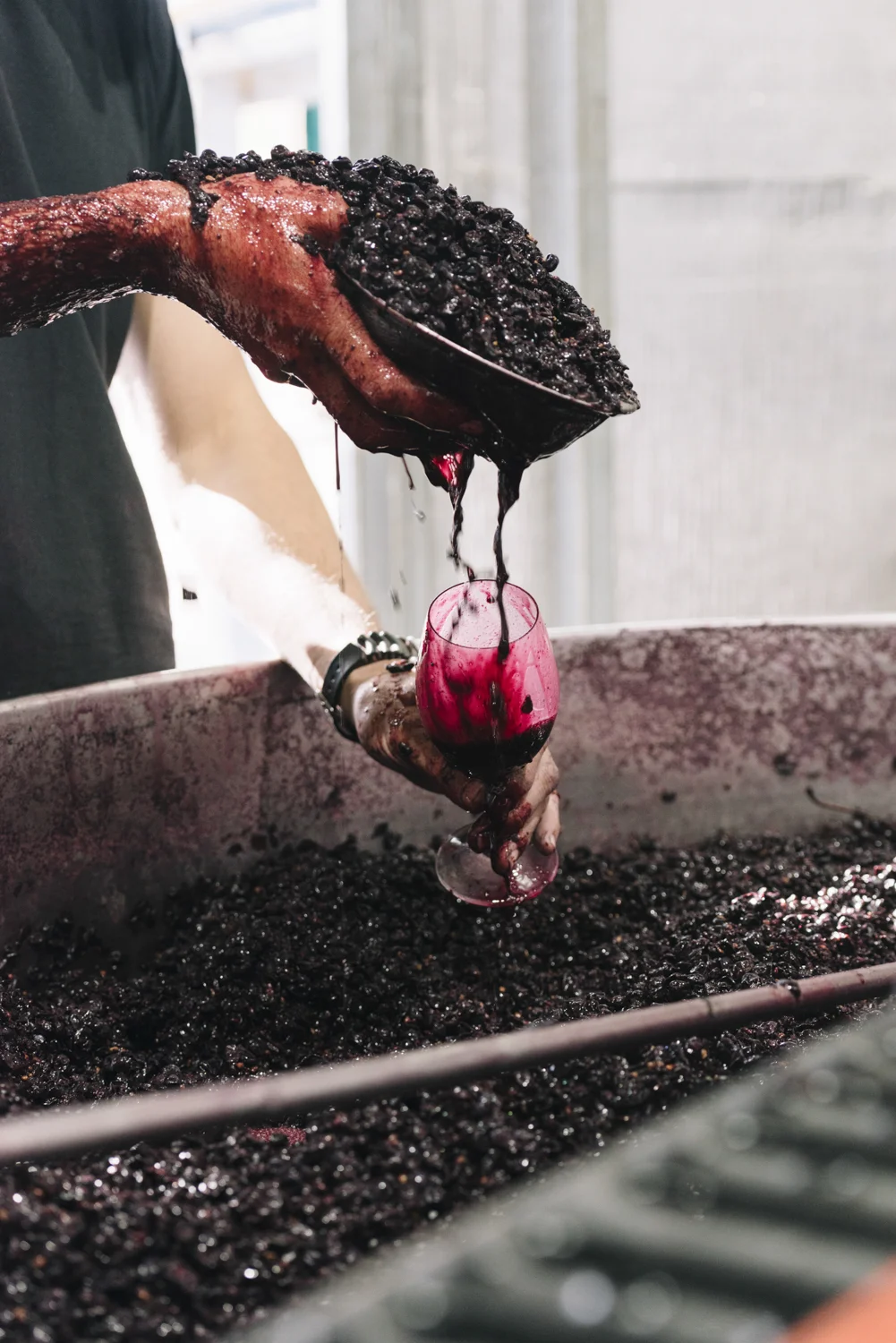 WR SCION - Phoebe Powell WEB_21.JPG