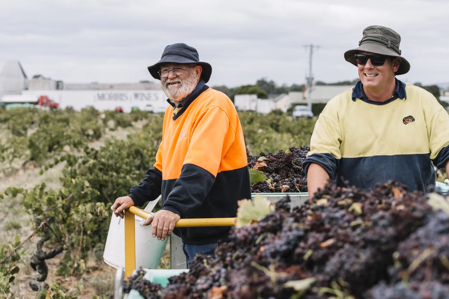 WR Morris - Phoebe Powell WEB_4.JPG