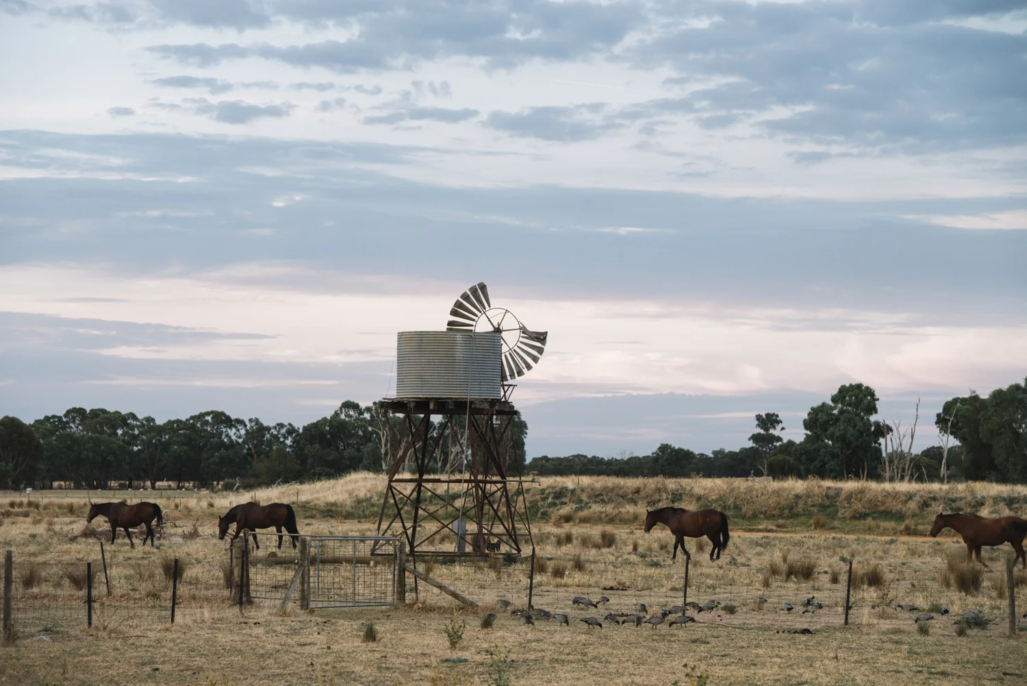 WR Chambers - Phoebe Powell WEB_21.JPG