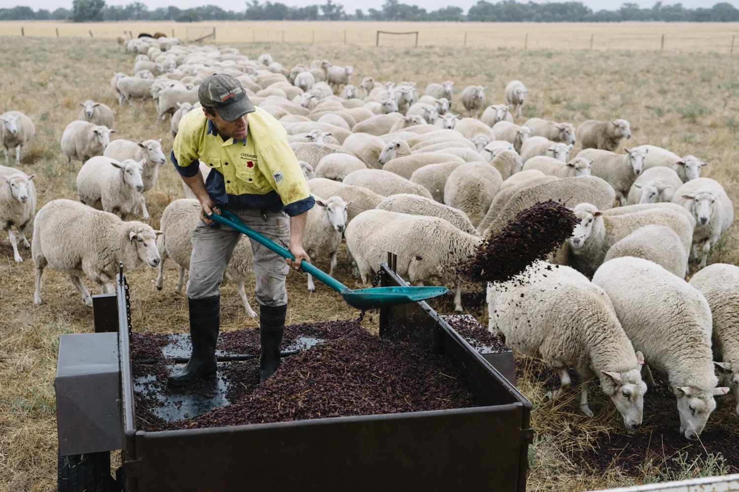 WR Chambers - Phoebe Powell WEB.JPG