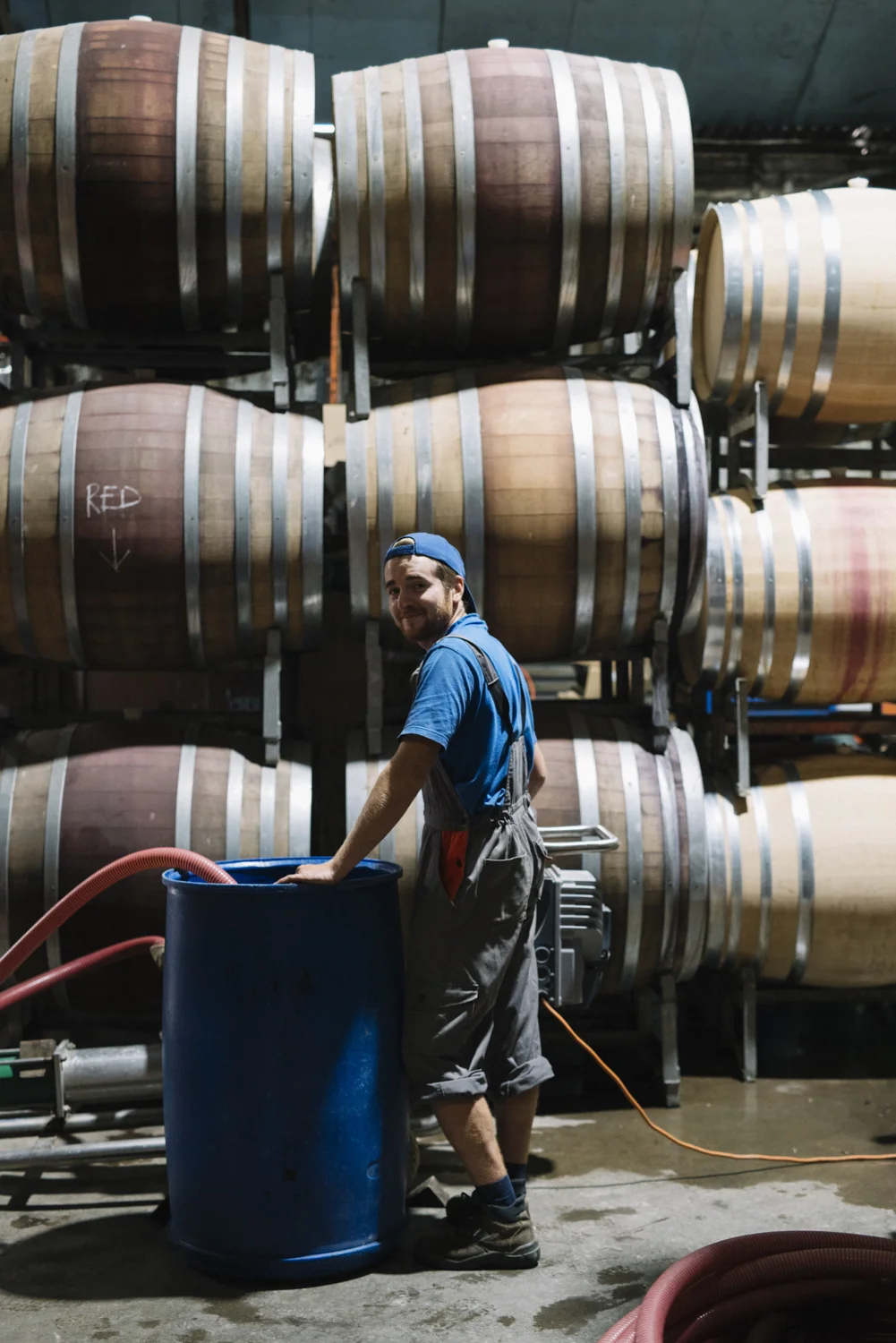 WR Pfeiffer - Phoebe Powell WEB 2.JPG