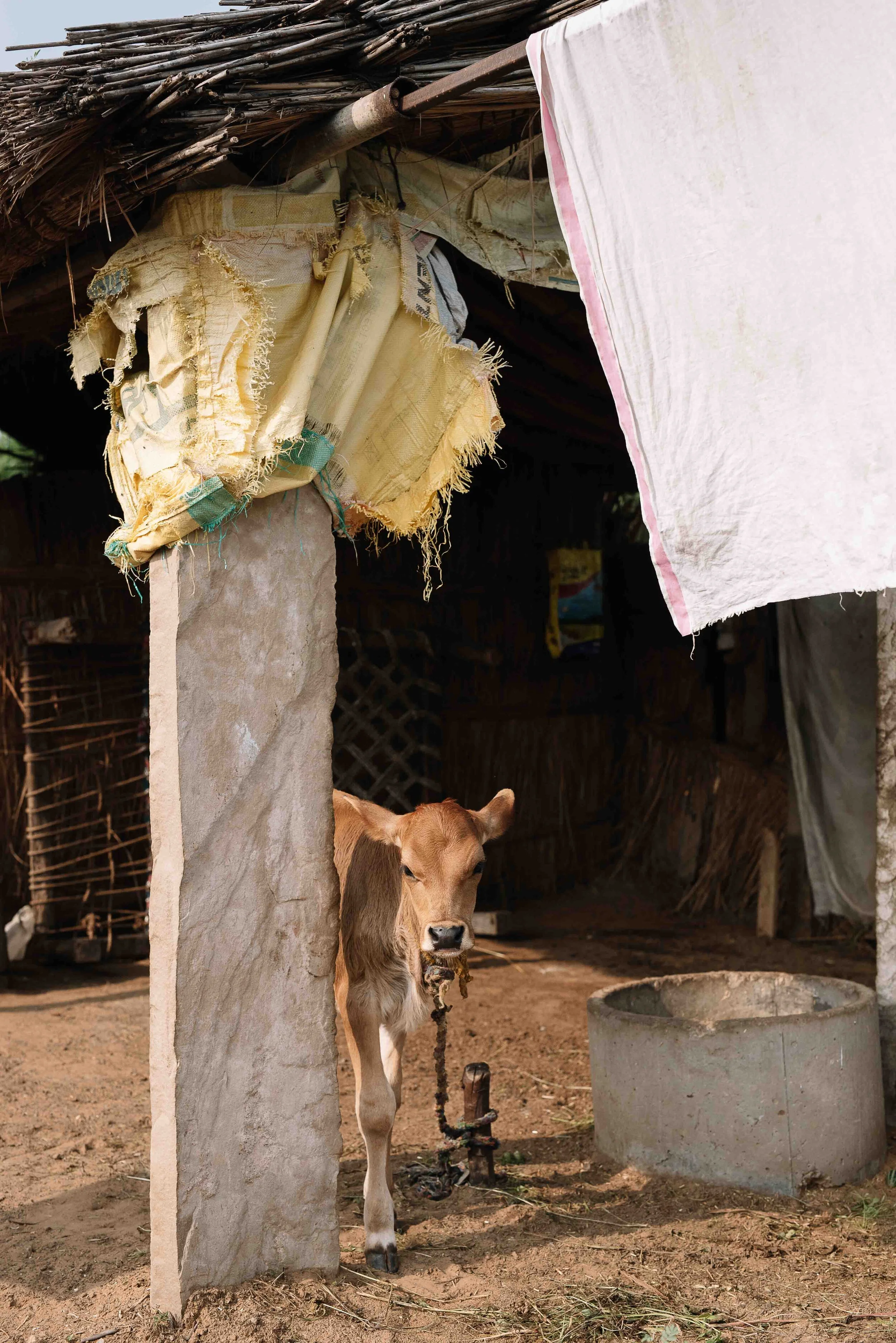 Frankie x G Adventures PHOEBE POWELL ©_15.JPG