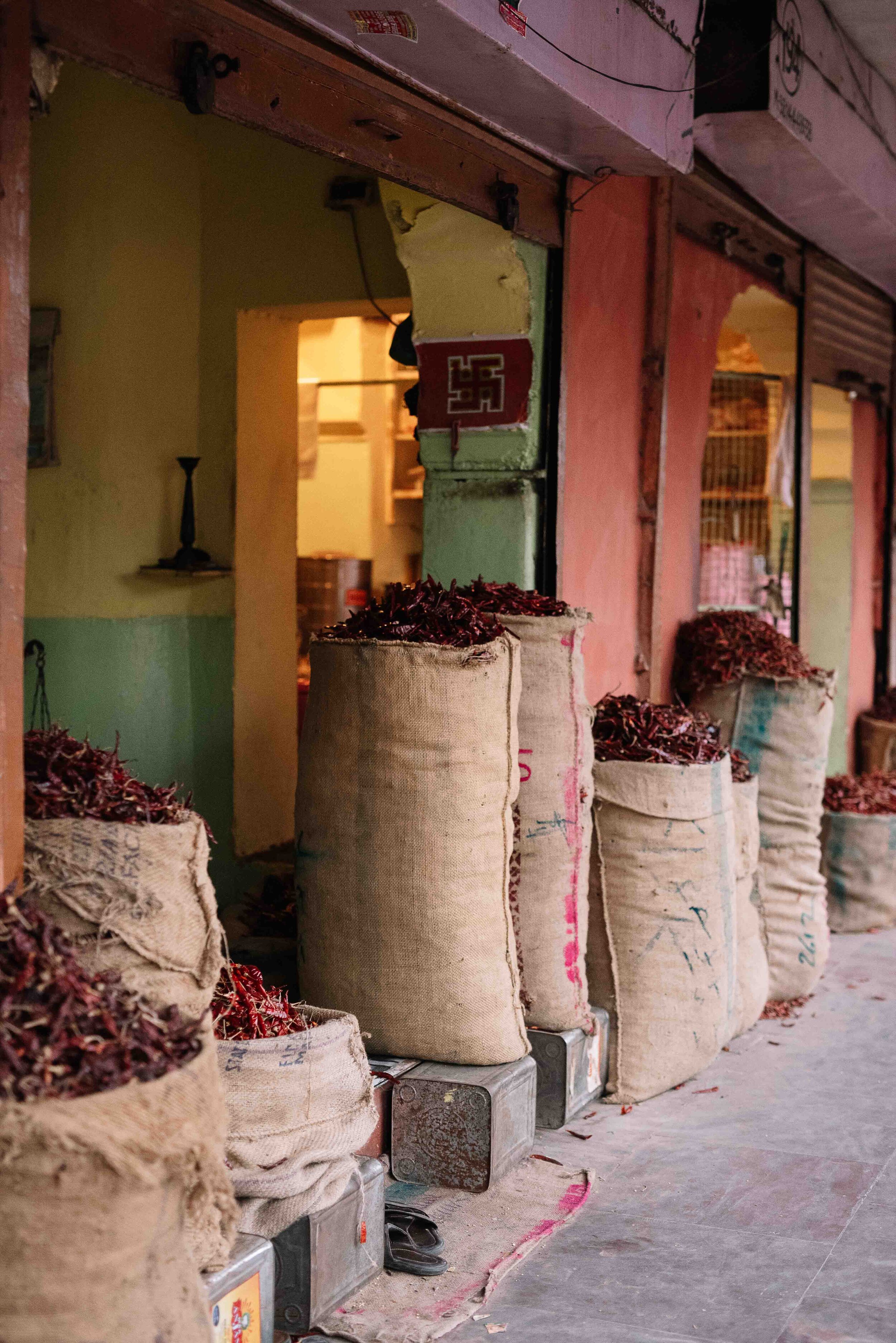 Frankie x G Adventures PHOEBE POWELL ©_23.JPG