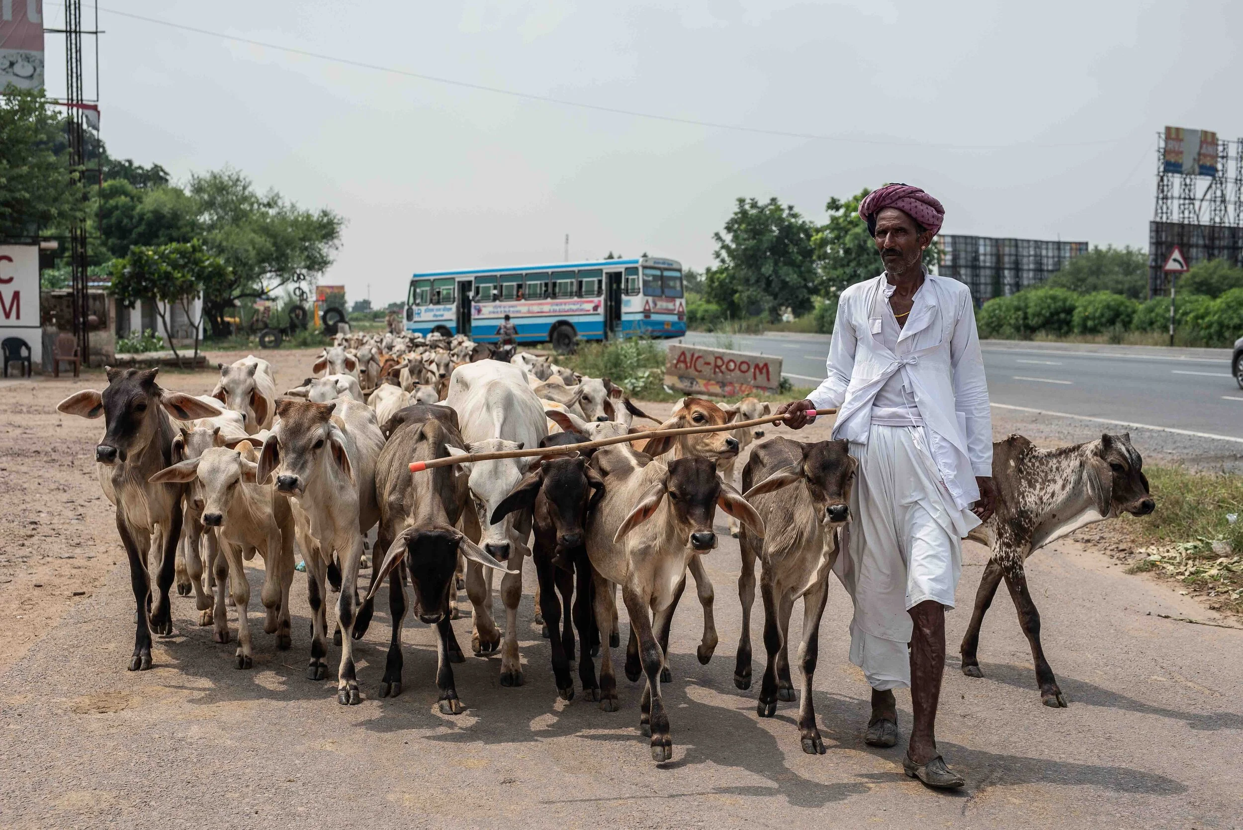 Frankie x G Adventures PHOEBE POWELL ©_42.JPG