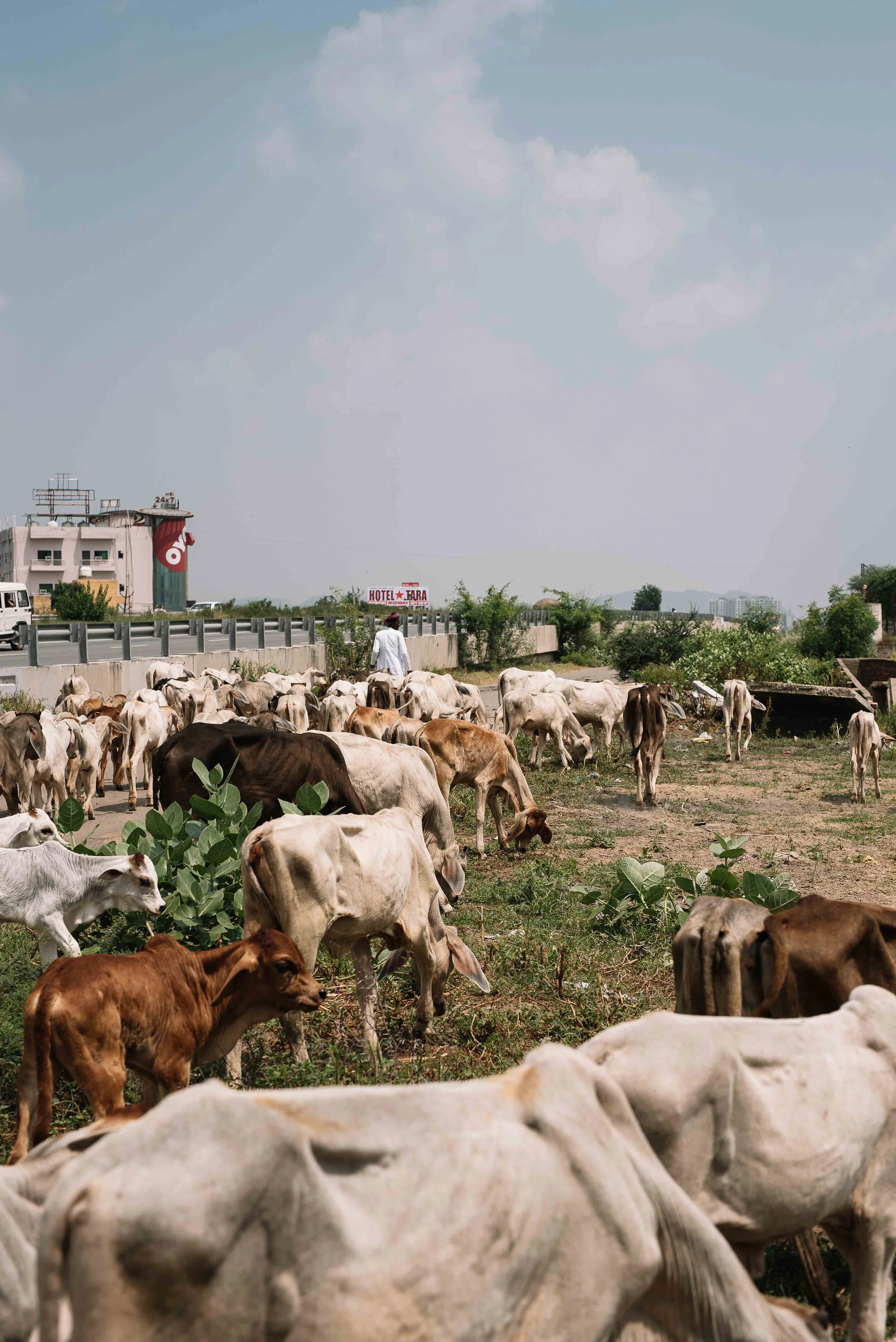 Frankie x G Adventures PHOEBE POWELL ©_50.JPG