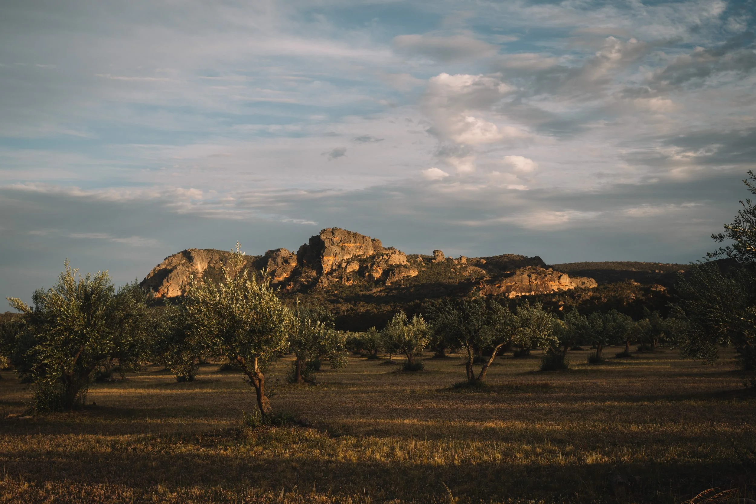 Mount Zero 2021__12.JPG