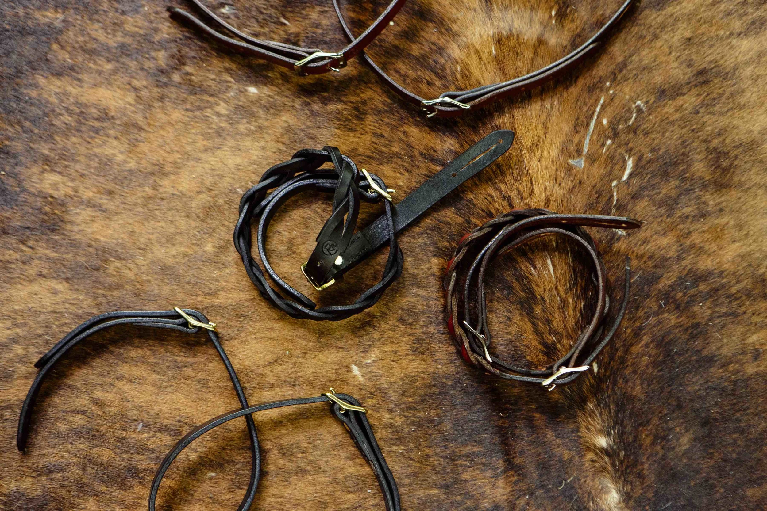 ROAD_REINS_059_lo.jpg
