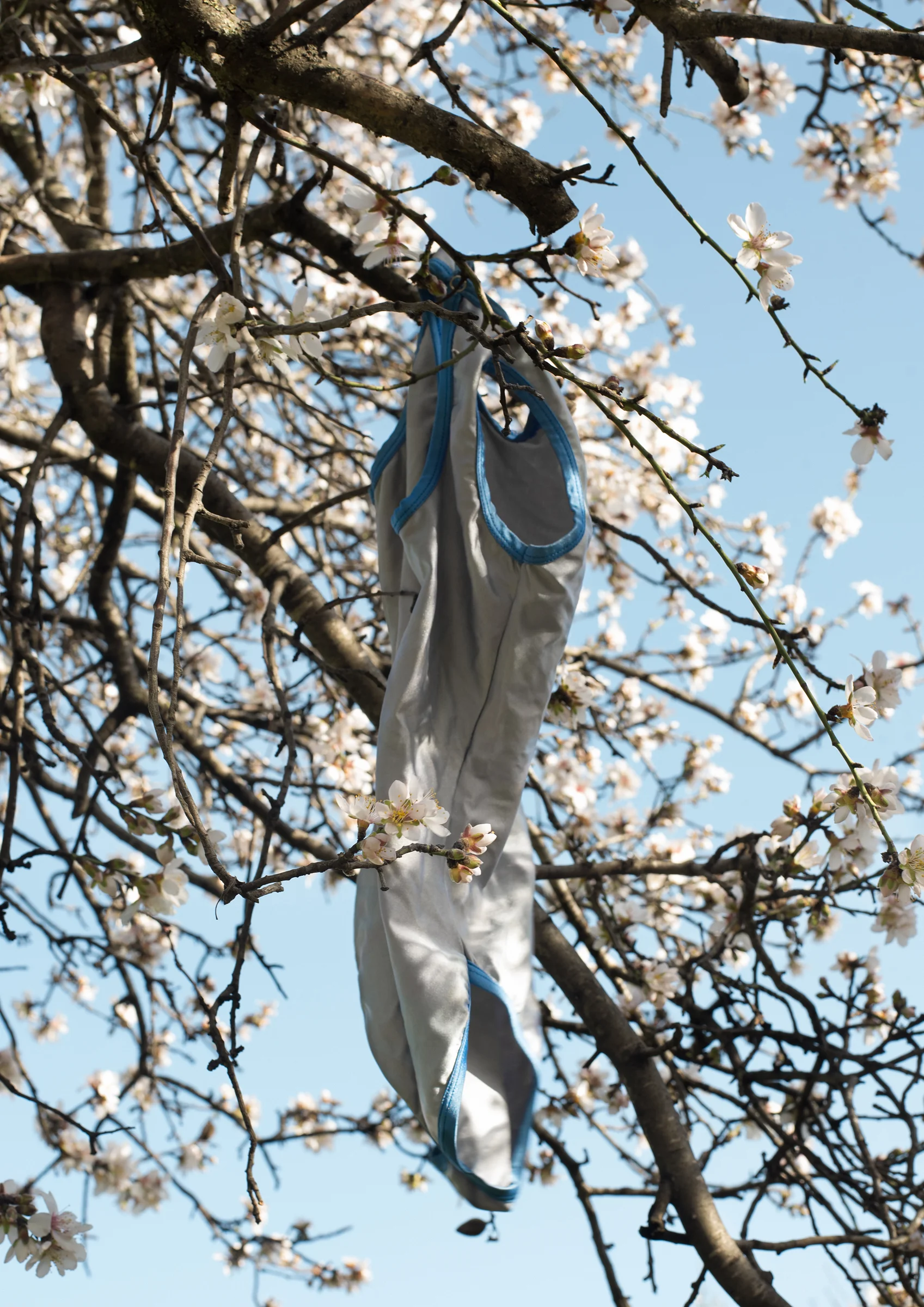 Untitled, Jerusalem, February 2015